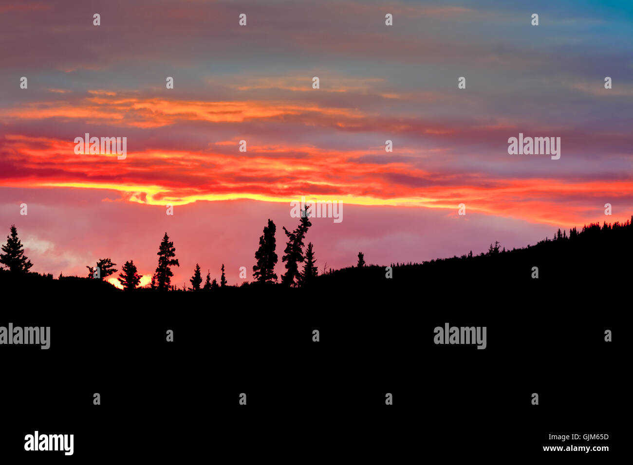 Cloudy sunset sky on fire and silhouette of forest Stock Photo - Alamy