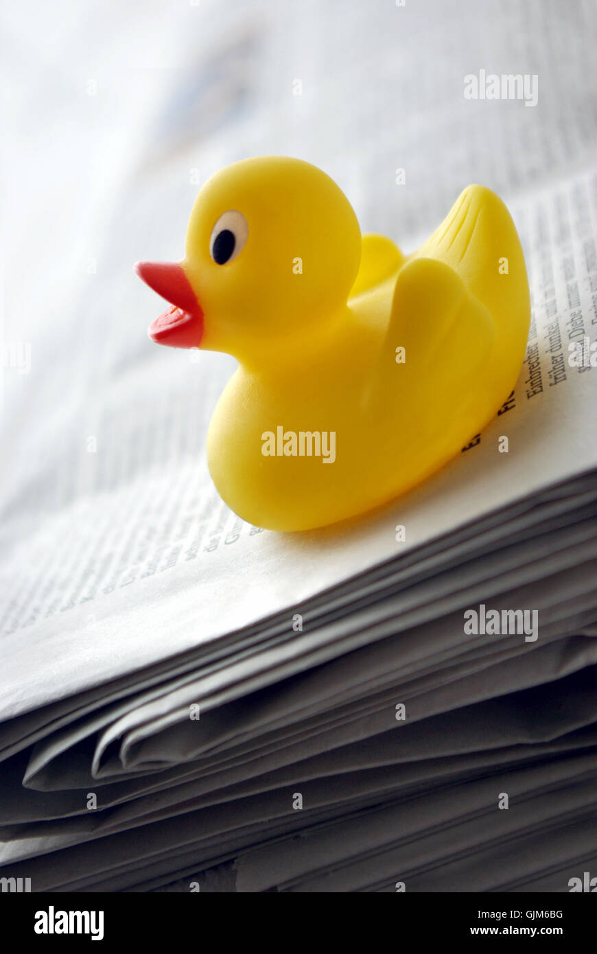 newspaper journal duck Stock Photo