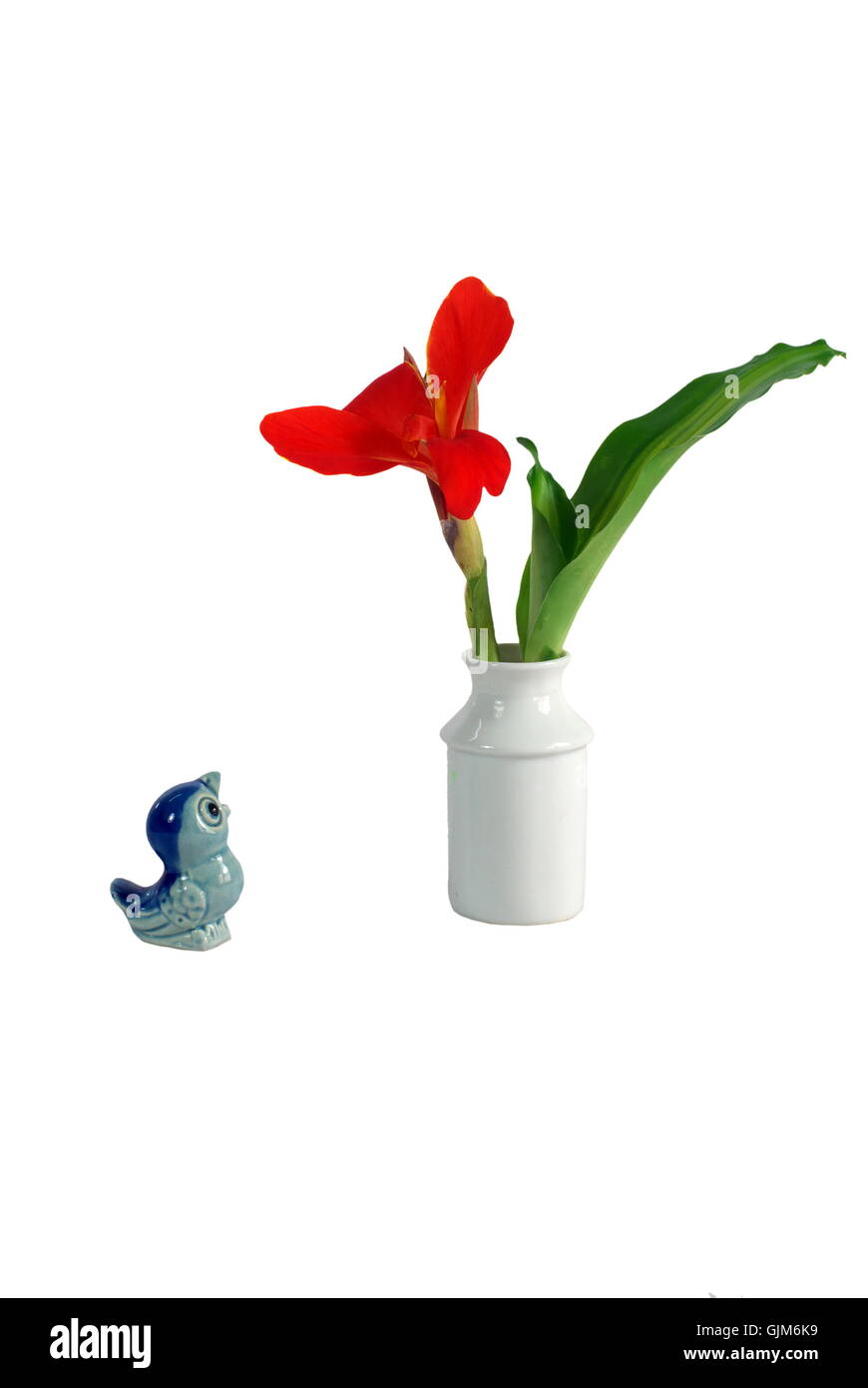 flower arrangement accessories