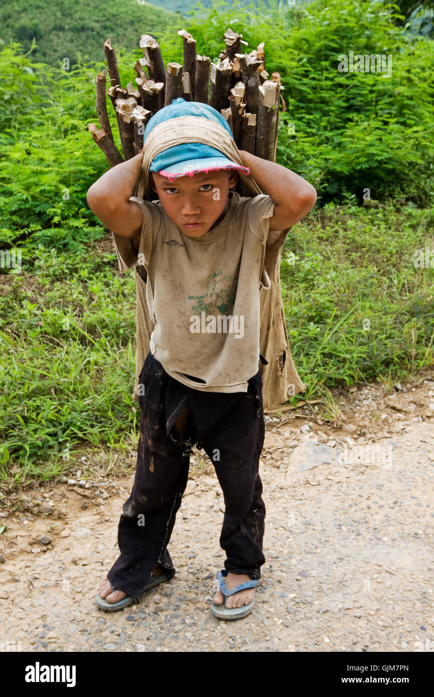 child transports firewood,laos Stock Photo