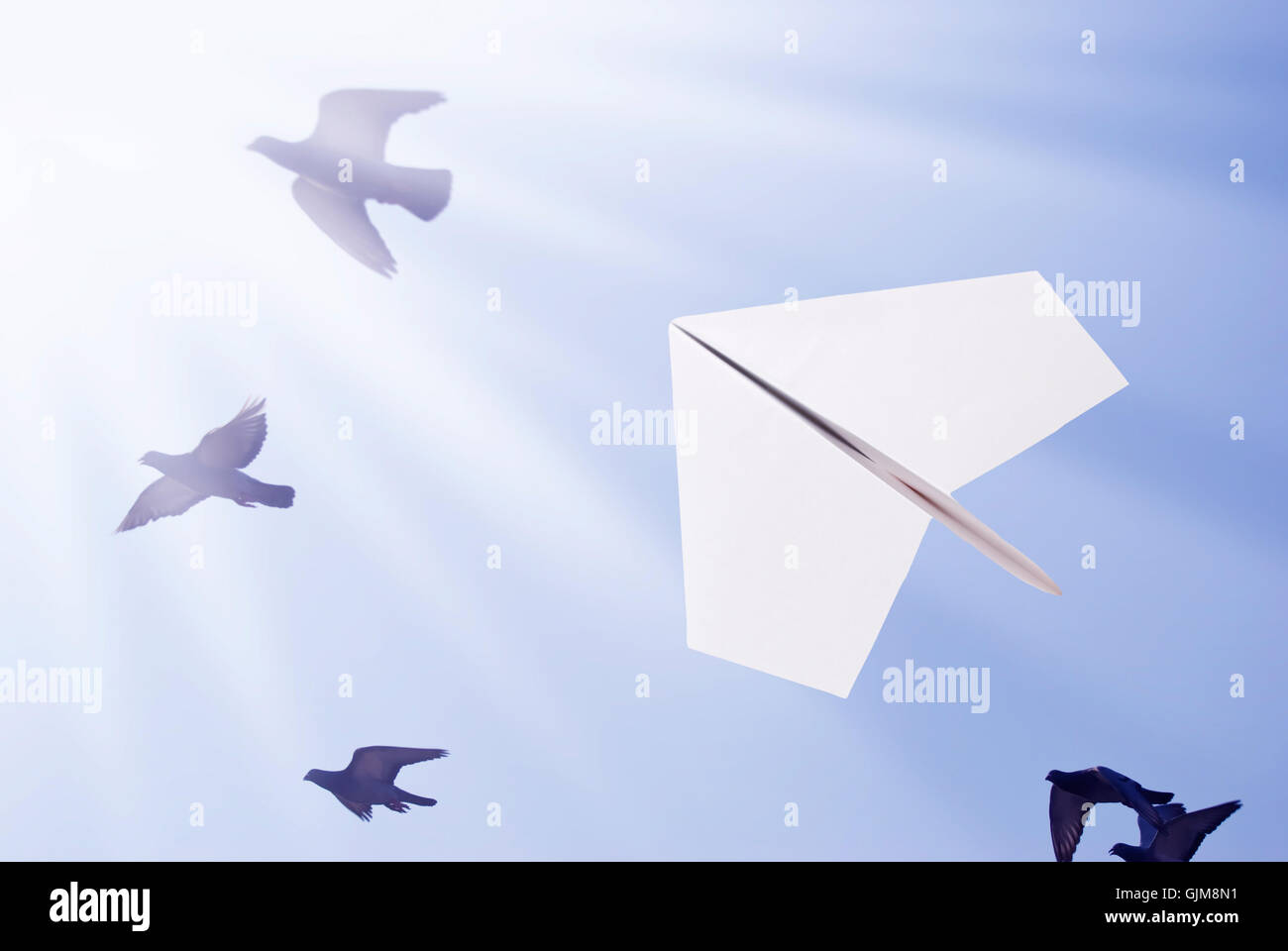 Paper airplane flying with birds Stock Photo - Alamy