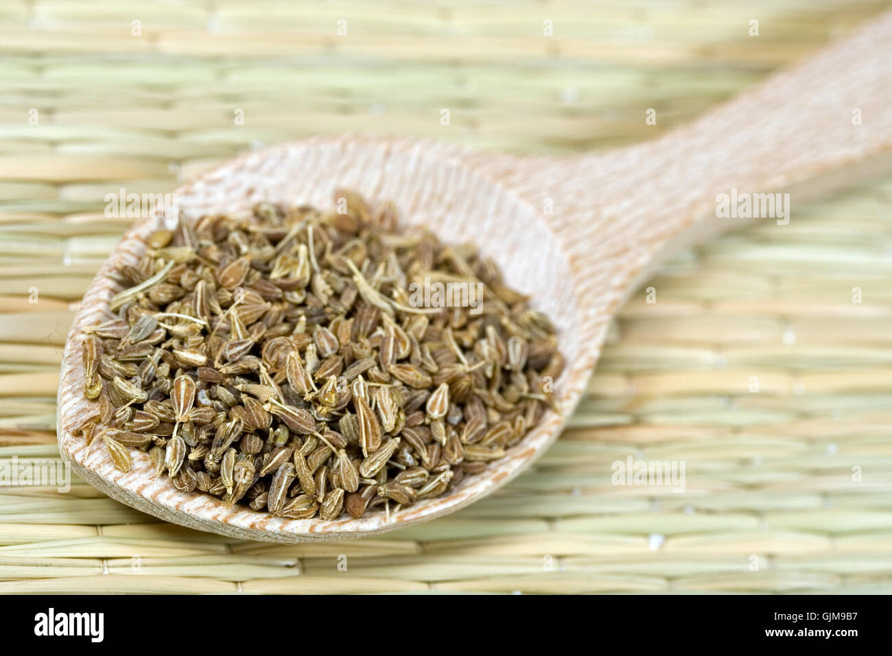 spice spices anise Stock Photo