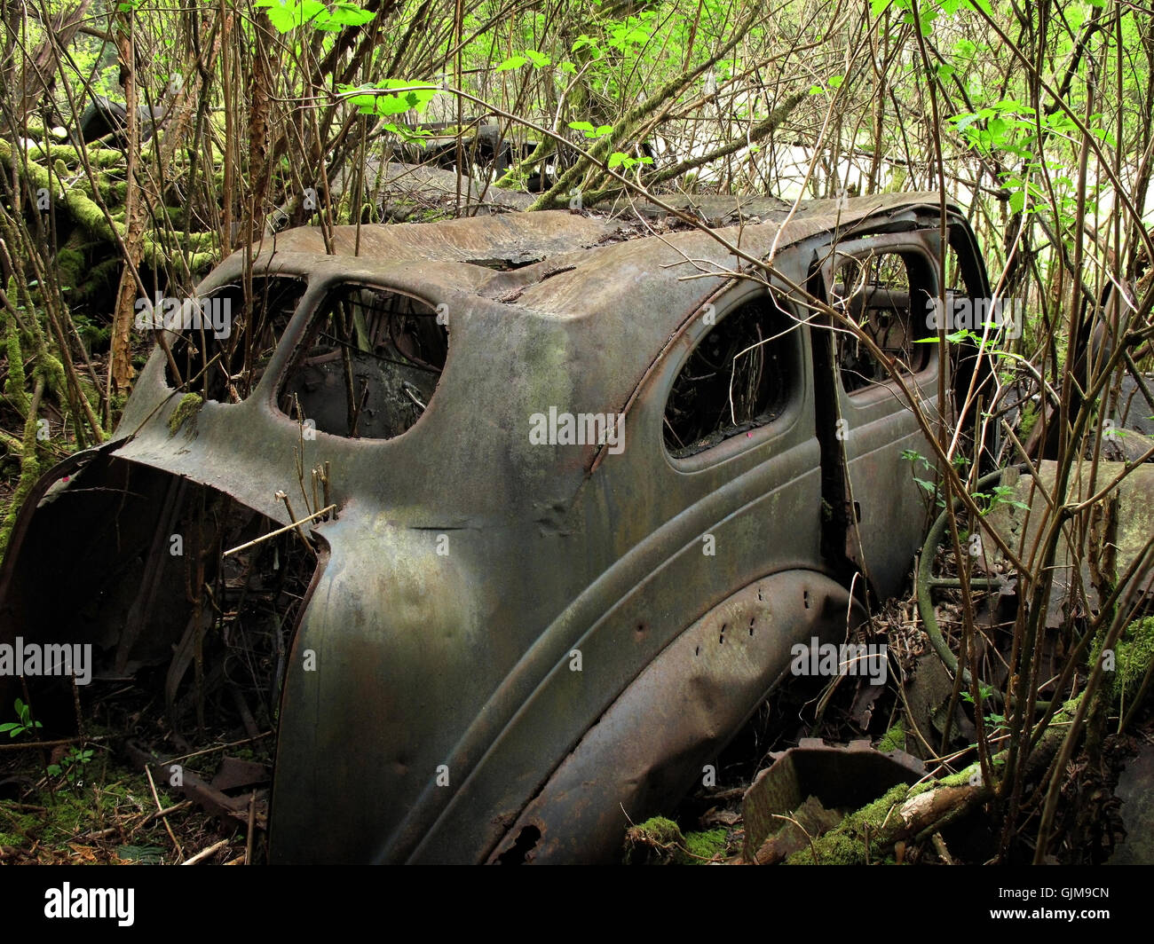 Dumped automobile hi-res stock photography and images - Alamy