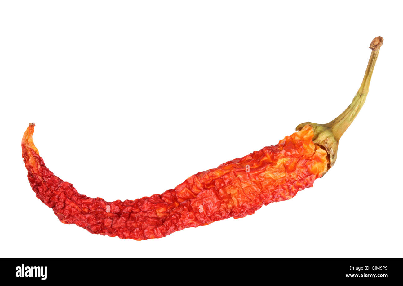 Single red dry chillipepper Stock Photo Alamy