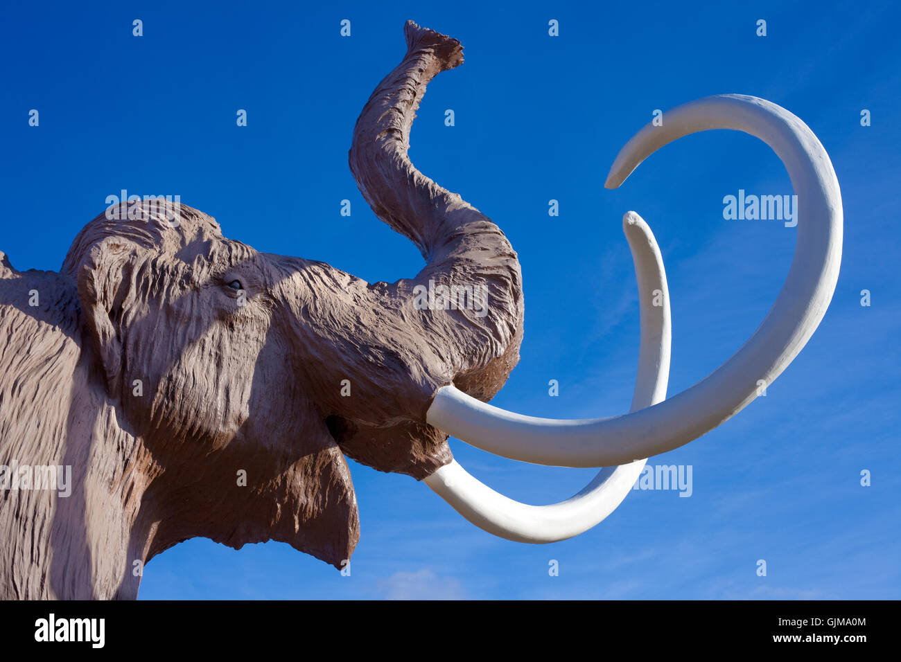 Mammoth walking, mascot style in 2023