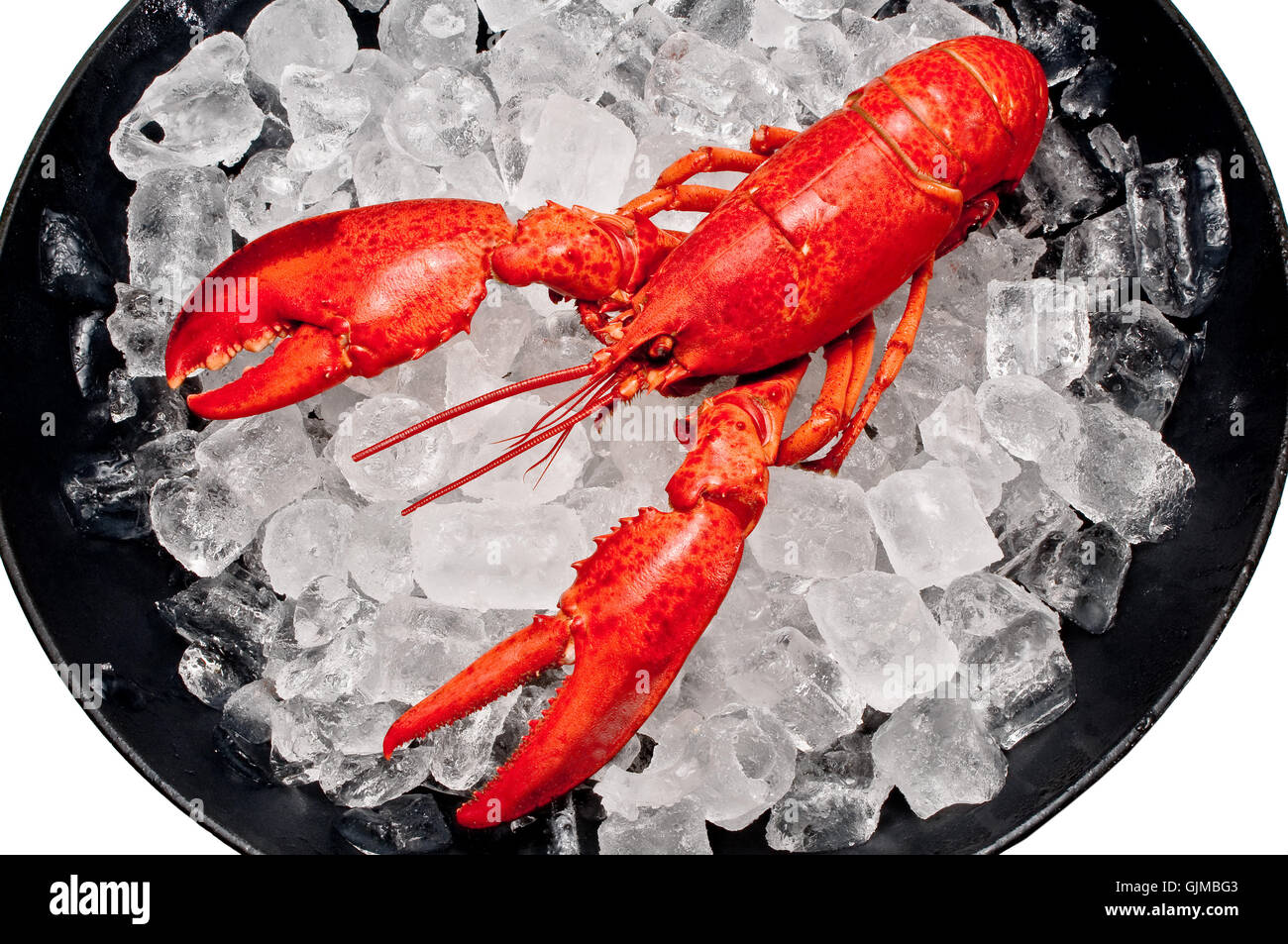 lobster scissors scissor Stock Photo Alamy