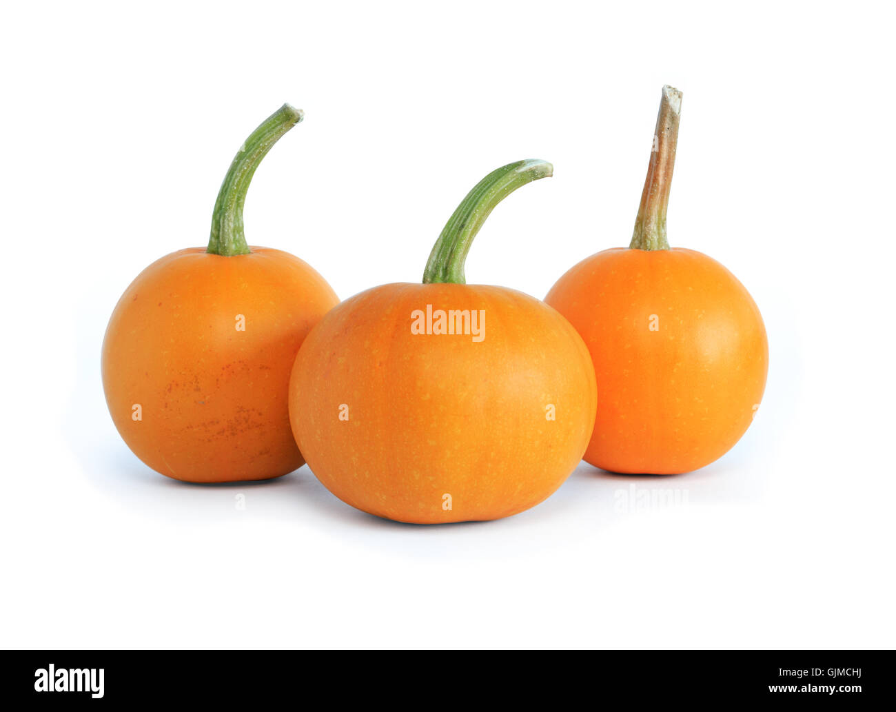 Three Pumpkins Stock Photo