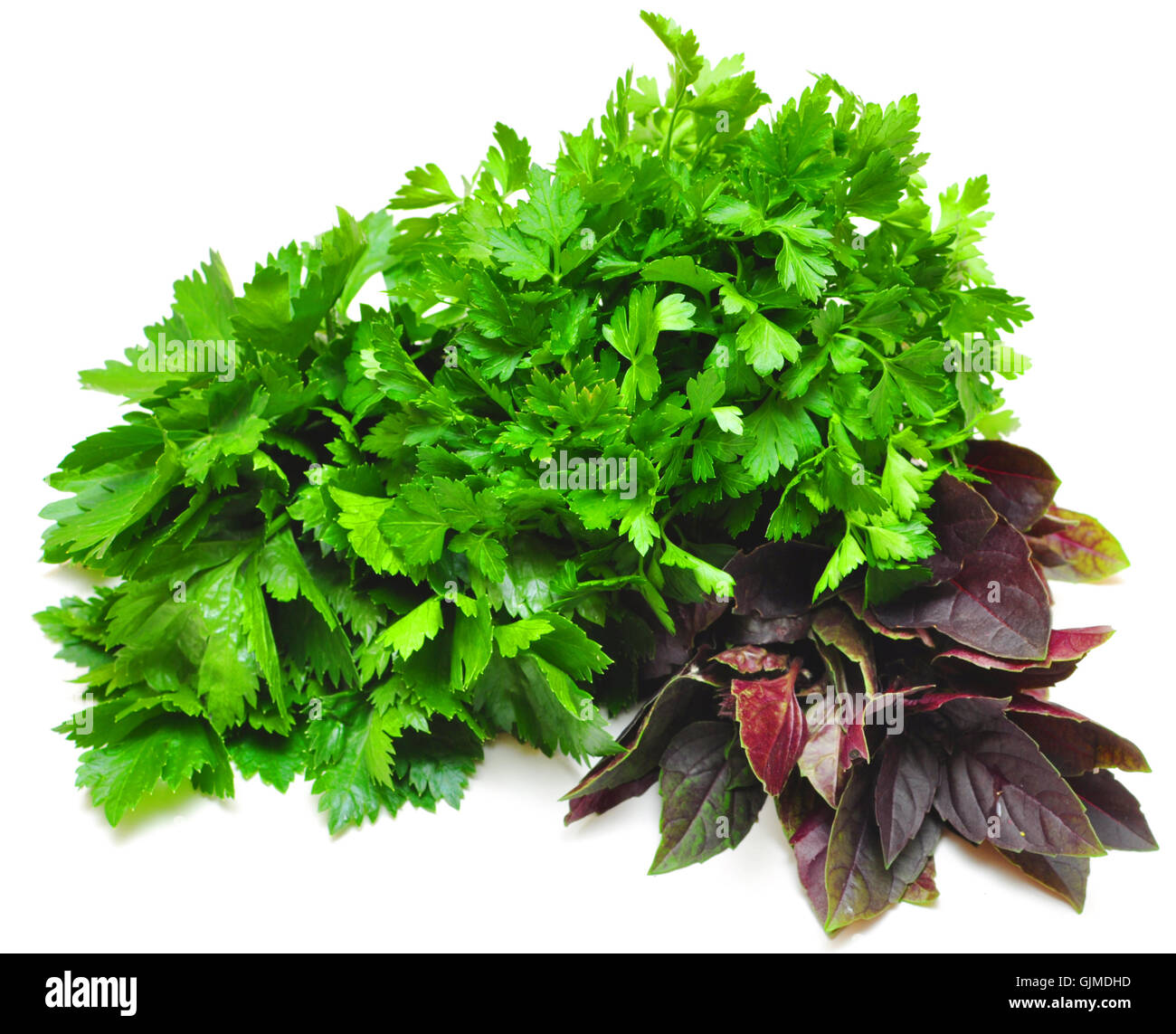 basil, parsley, celery Stock Photo Alamy