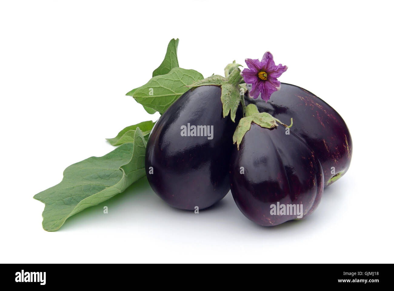 Pure purple Cut Out Stock Images Pictures Alamy