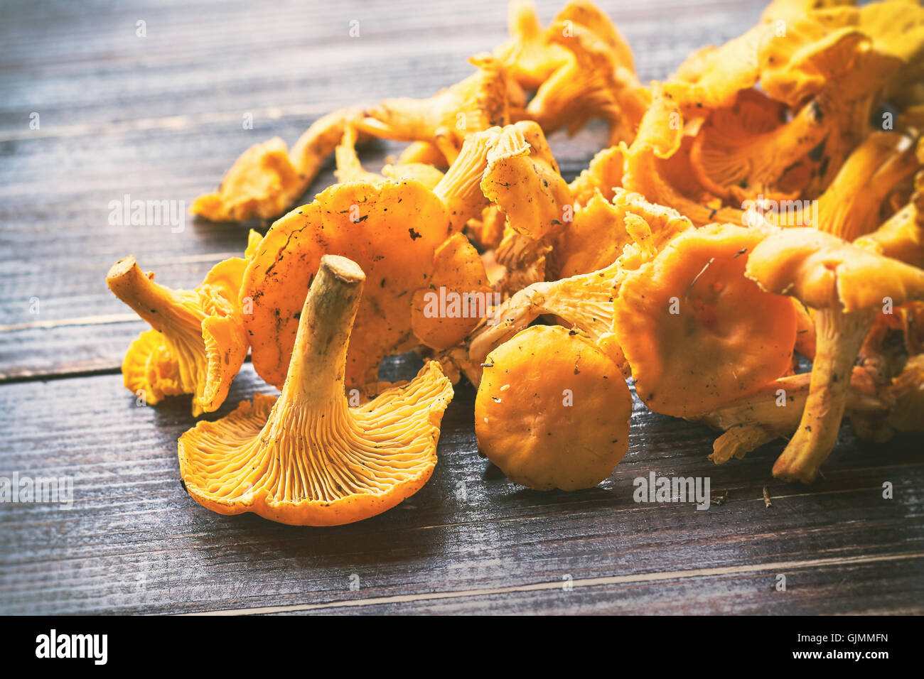Freshly picked chanterelle mushrooms on wooden table Stock Photo