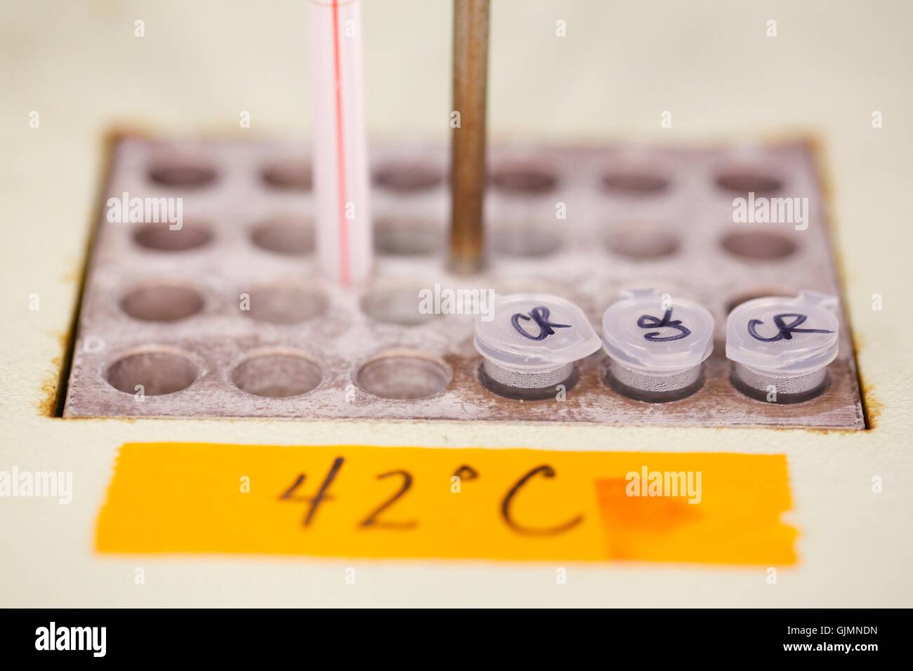 Microfuge tubes in dry heating block Stock Photo Alamy