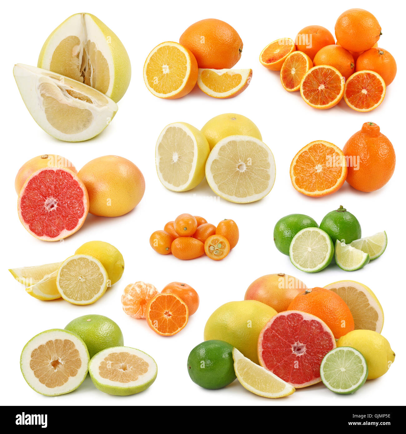 классификация цитрусовых плодов схема. что относится к цитрусовым фруктам. название цитрусовых фруктов с картинками. витамины в апельсине. семейство цитрусовых фруктов.