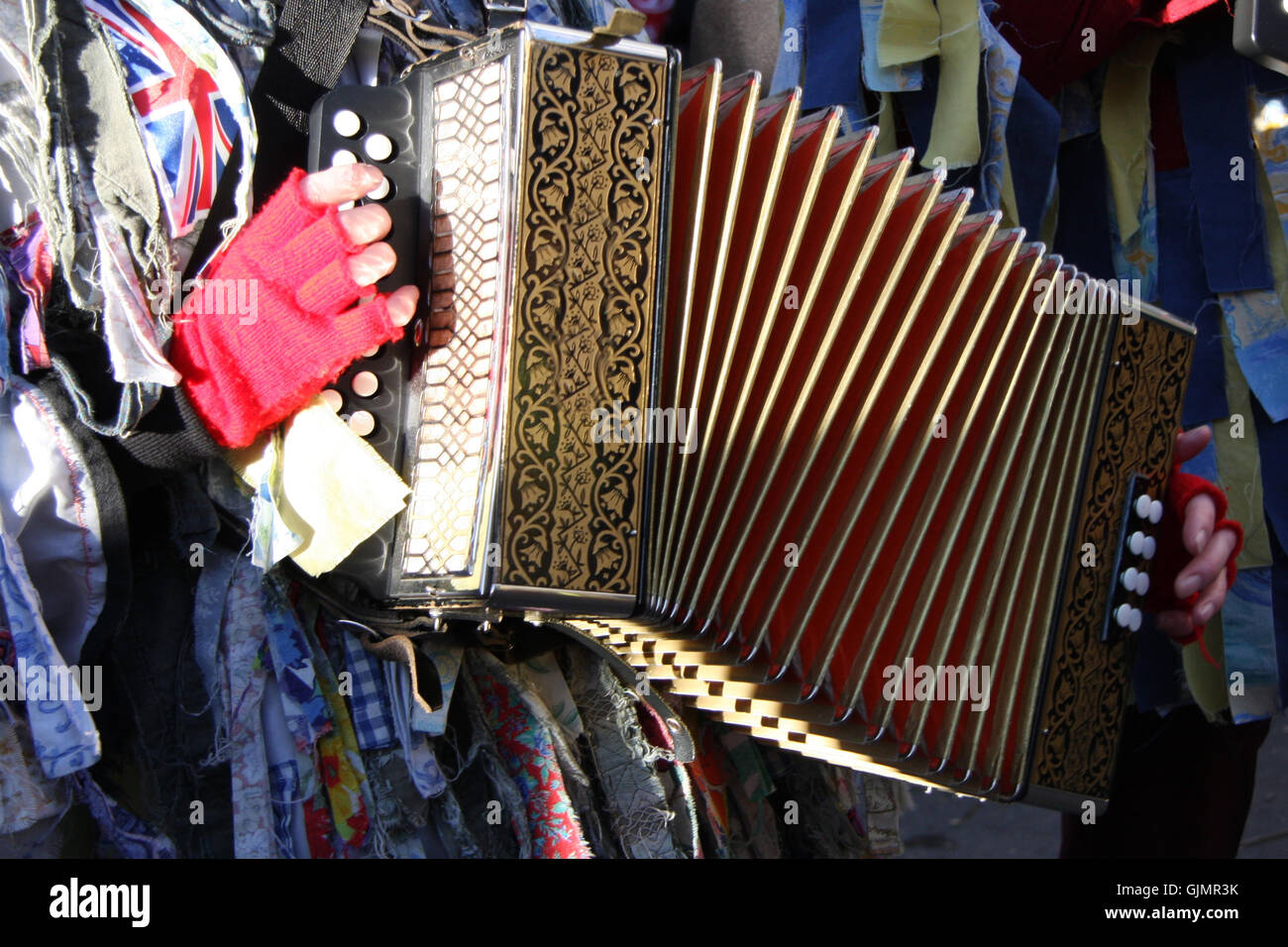 accordion - fasching Stock Photo
