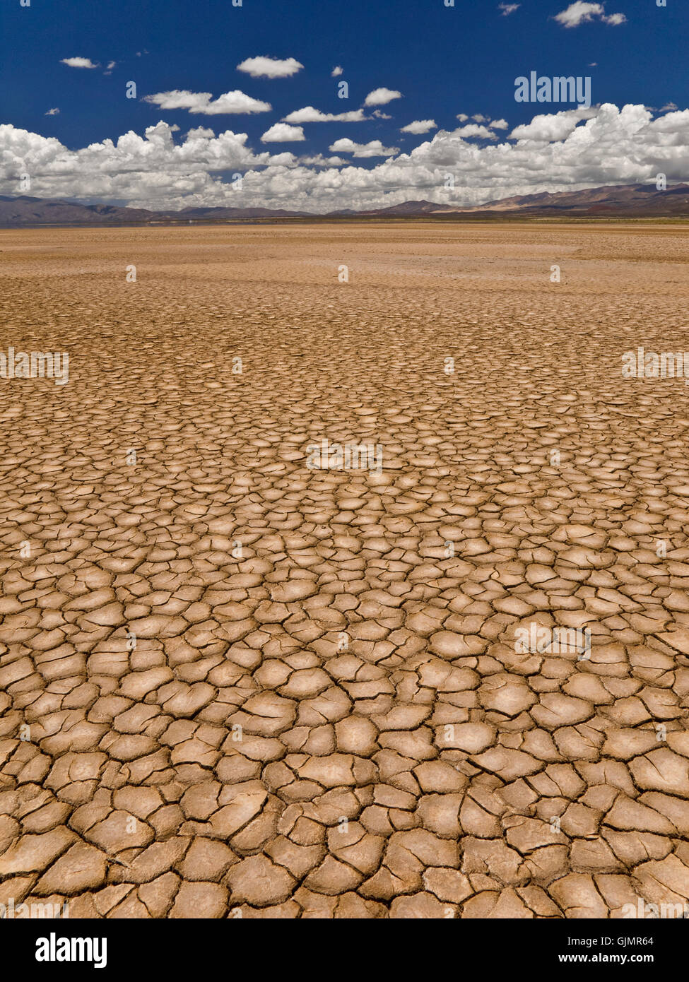 desert wasteland drought Stock Photo