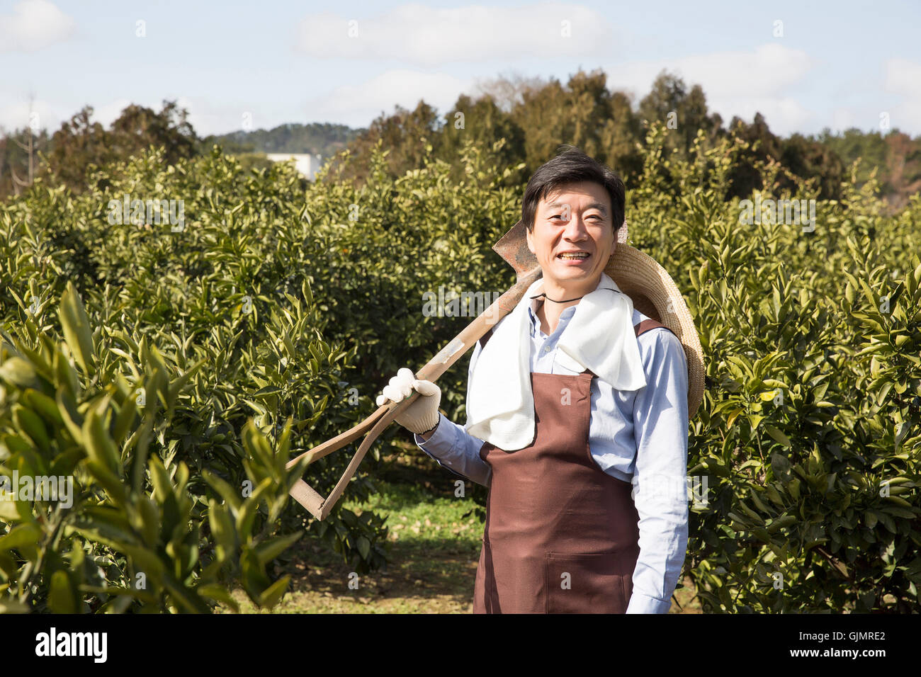 Korean Rural Man Korean male farmer hi-res stock photography and images - Alamy