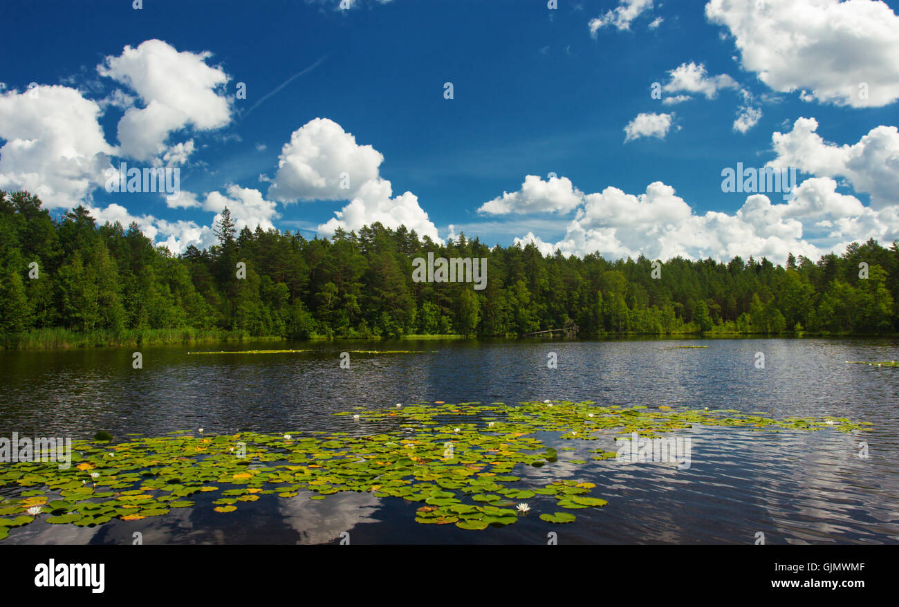 cloud summer summerly Stock Photo