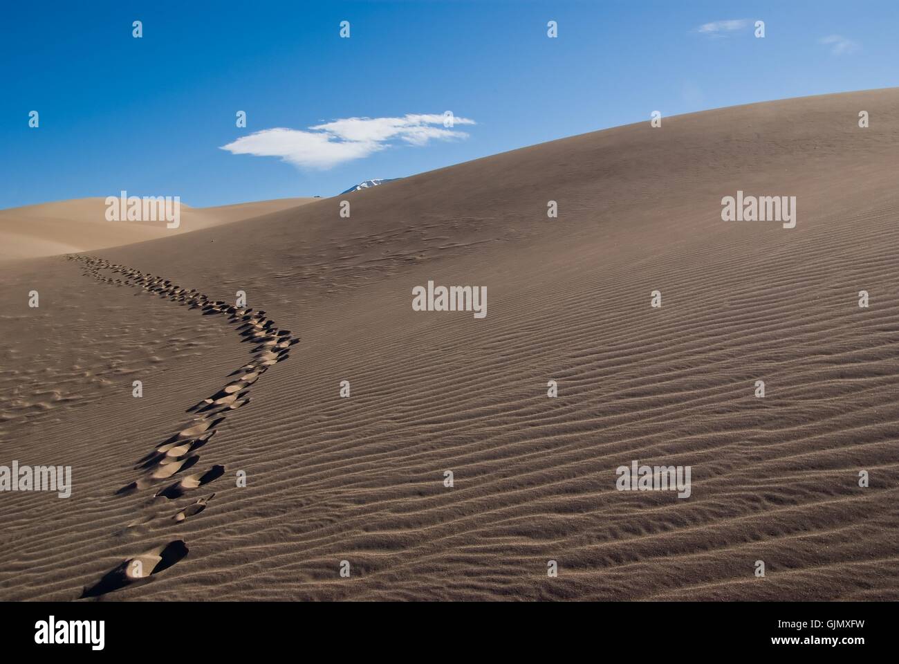 desert wasteland print Stock Photo