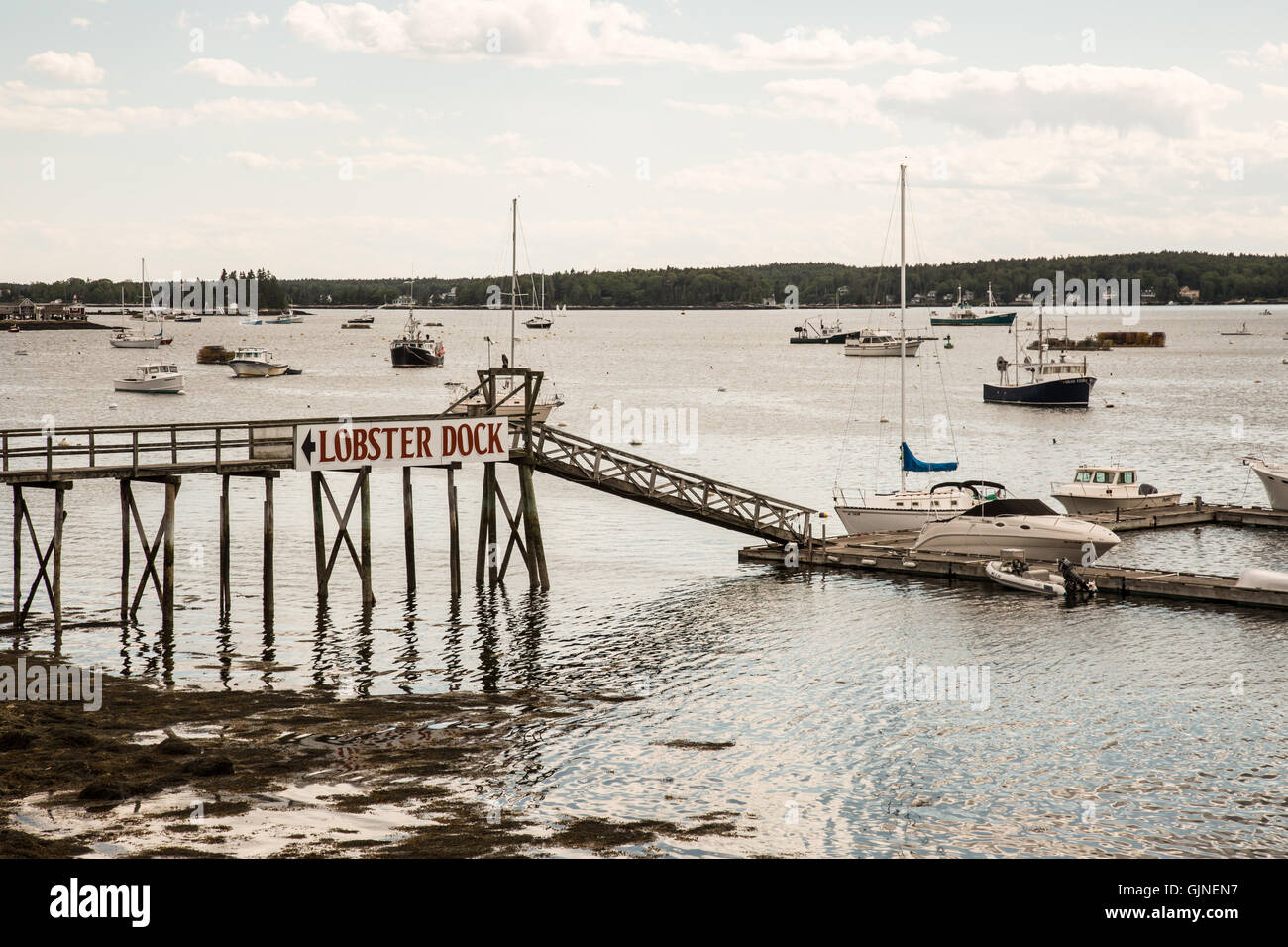 Lobster Dock at Boothbay harbor in Maine Stock Photo Alamy