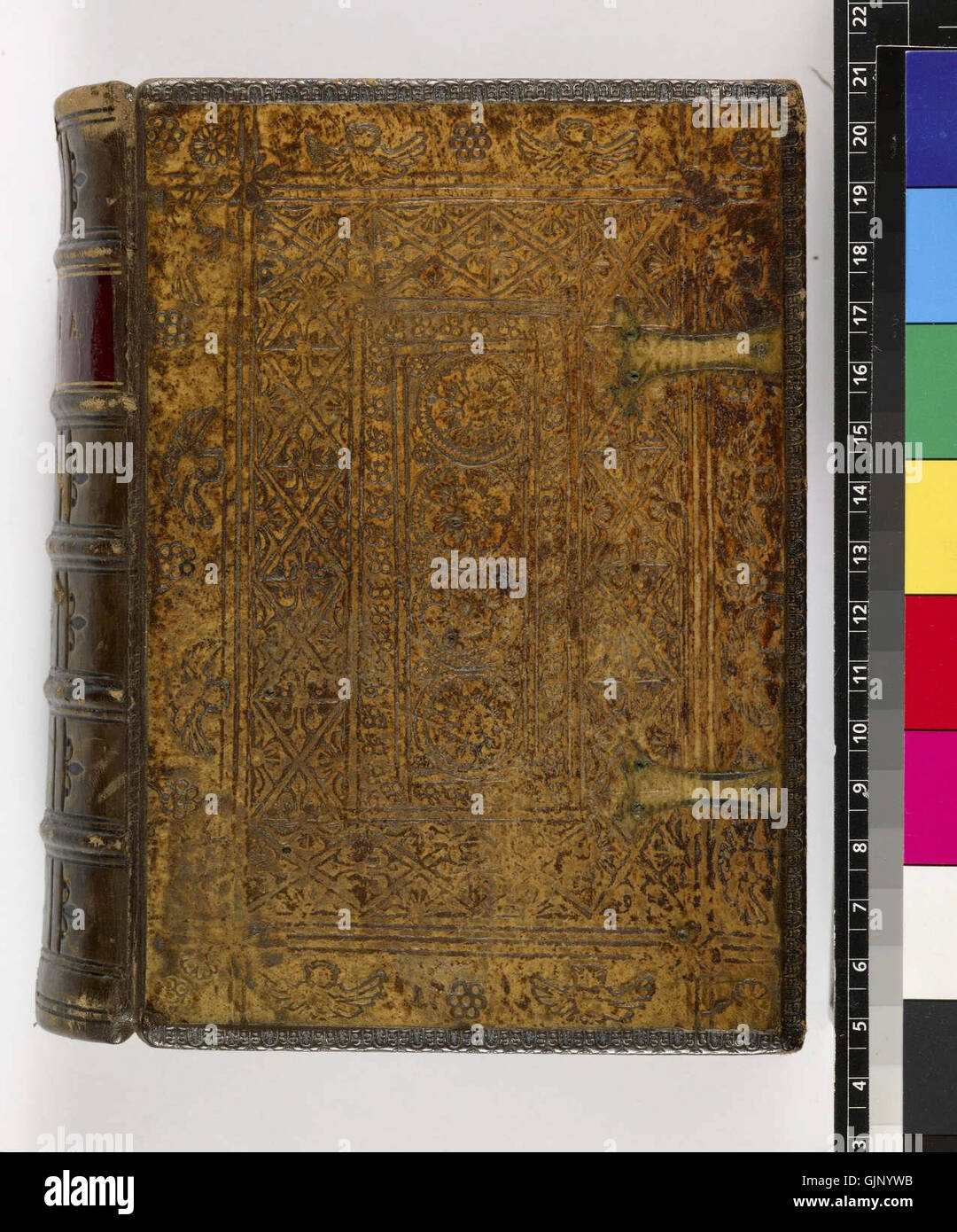 Biblia.  fol. 2 recto   Incipit epistola beati Hieronymi ad Paulinum, etc.   Upper cover (IA37873) Stock Photo