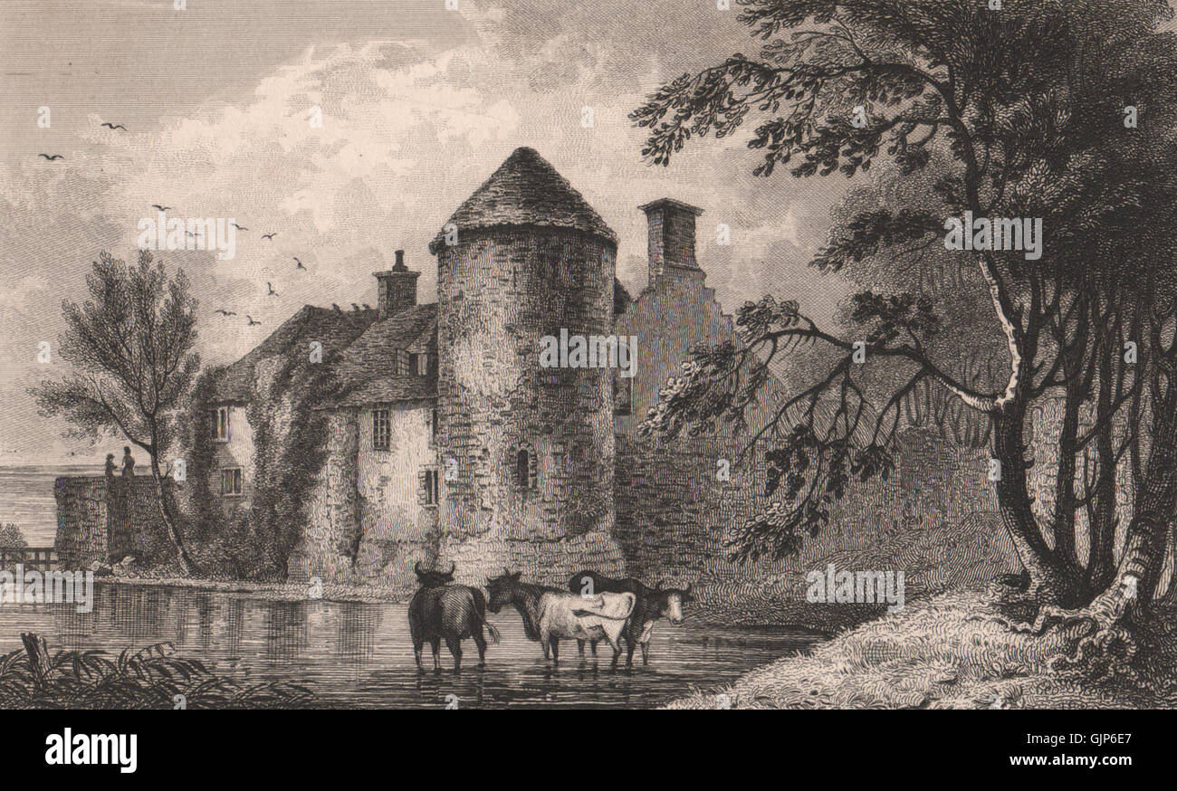 Westenhanger Castle, near Hythe. Kent. SHEPHERD, antique print 1829 Stock Photo