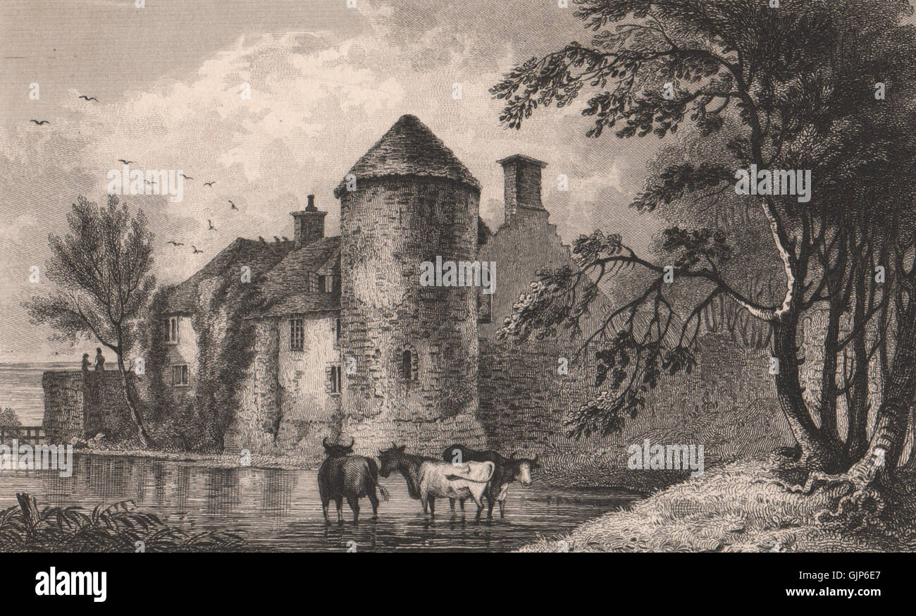 Westenhanger Castle Near Hythe Kent SHEPHERD Antique Print 1829 
