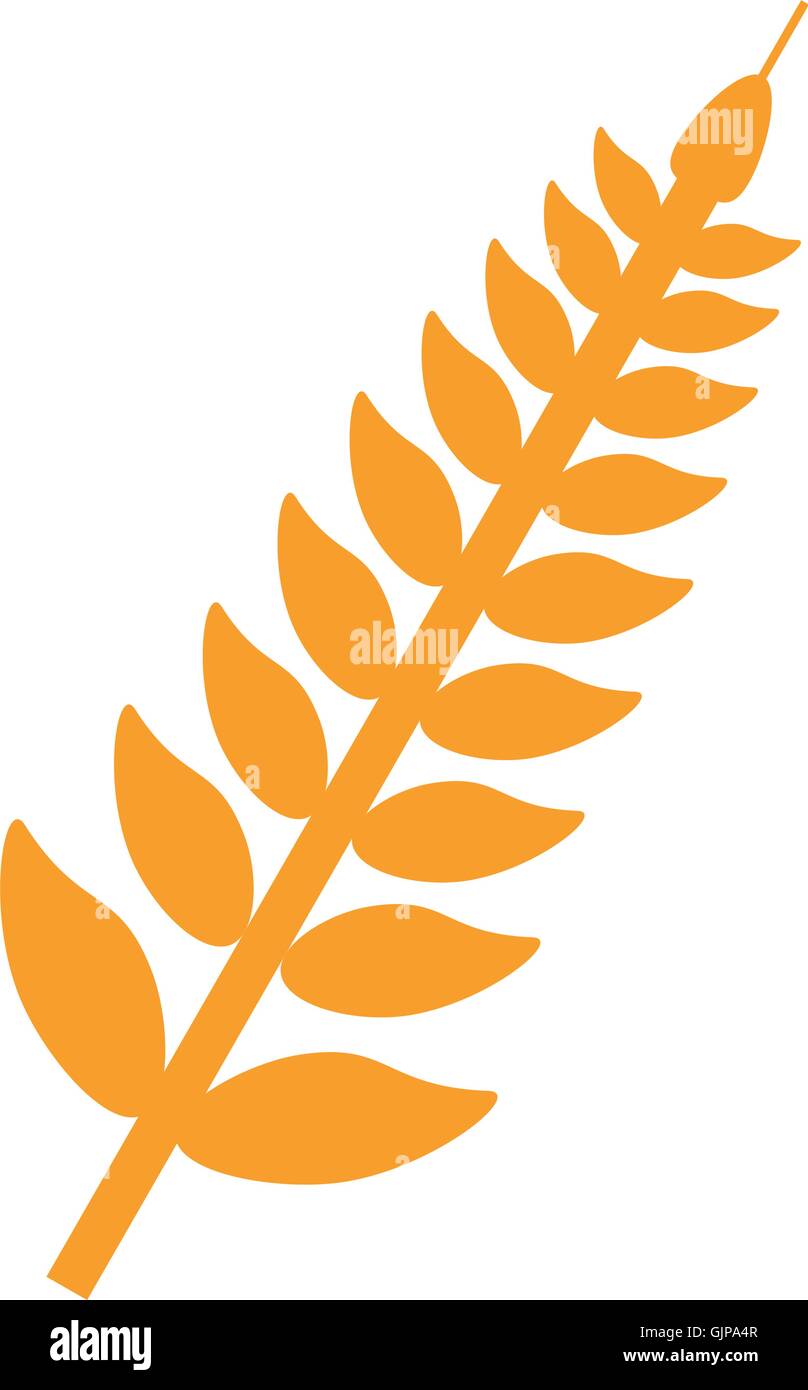 wheat ear icon Stock Vector Image & Art - Alamy