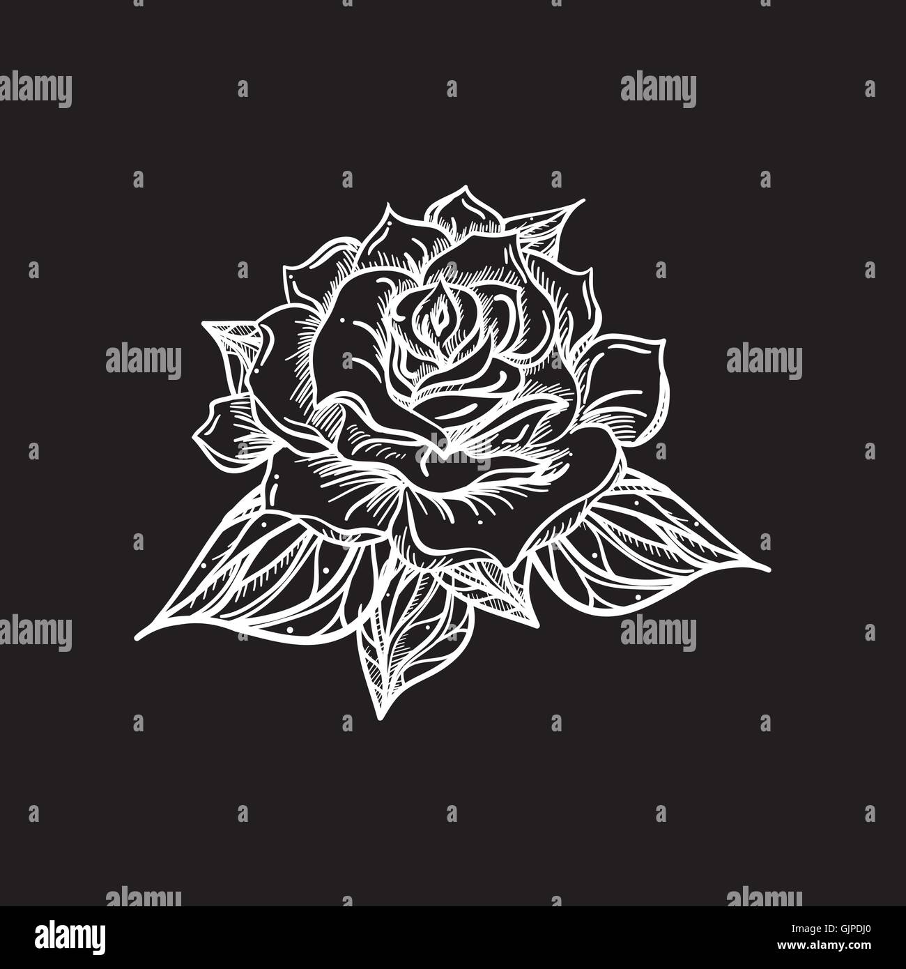Hand Drawn Wedding Rose. Flower Template for wedding, holiday ...