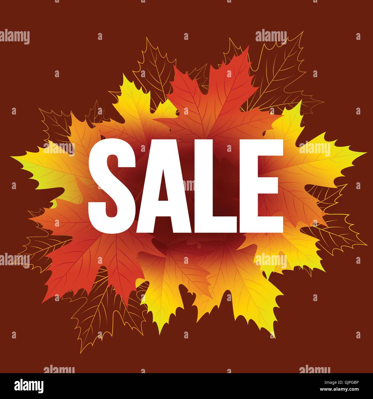 Autumn seasonal banner design. Fall leaf. Vector illustration Stock ...