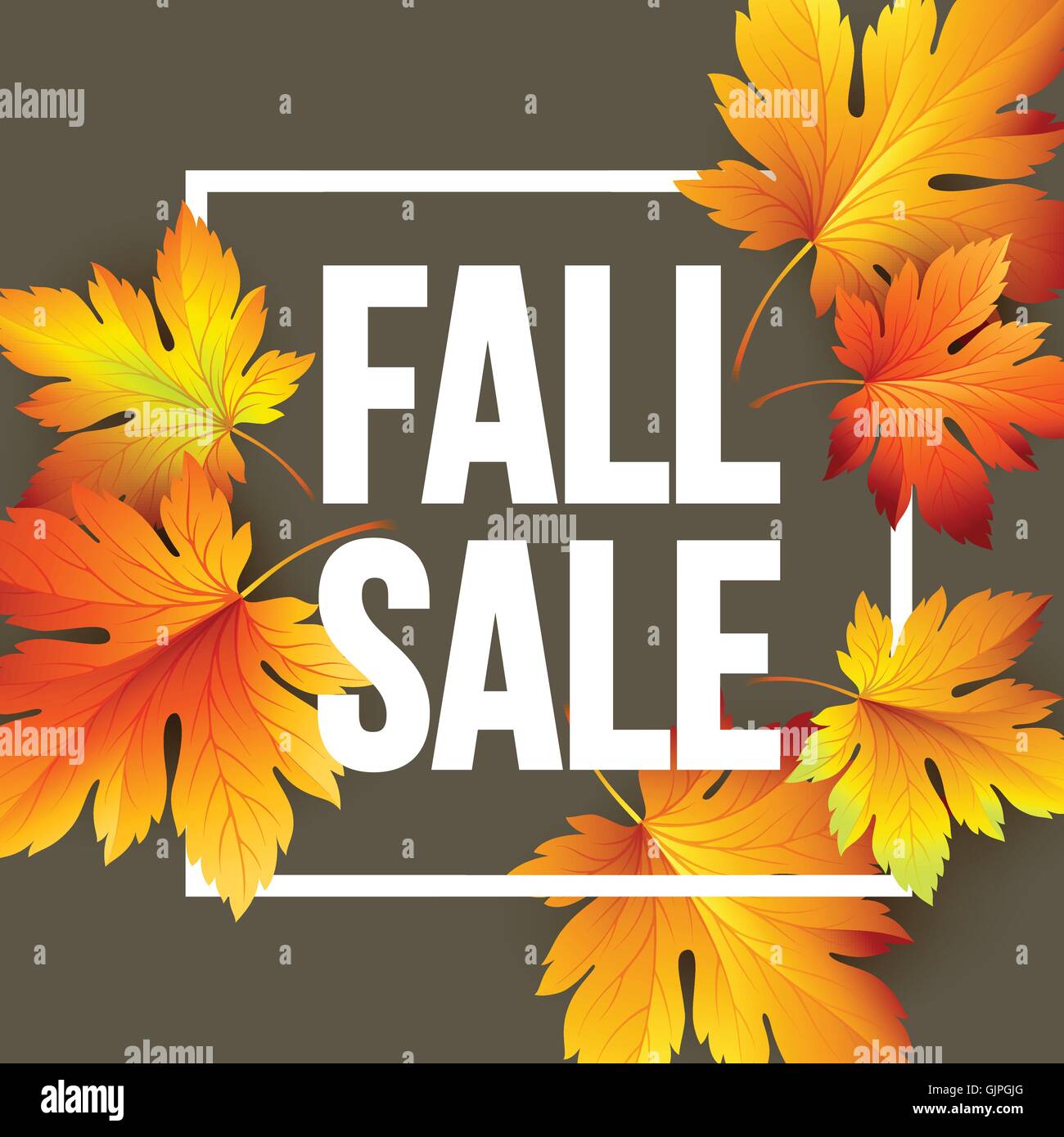 Autumn seasonal banner design. Fall leaf. Vector illustration Stock ...