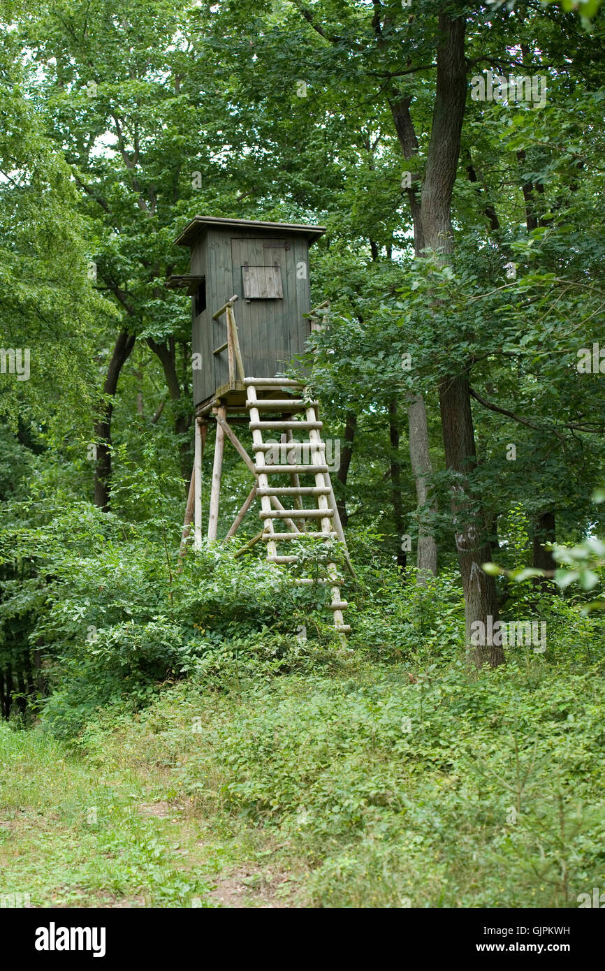 high seat in german forest Stock Photo