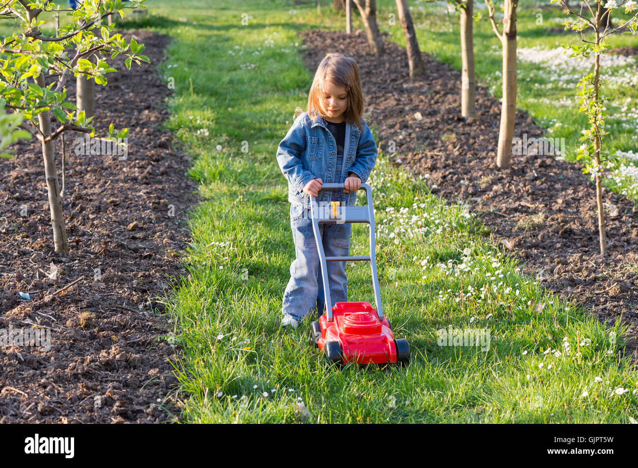 Cute girl playing with a lawn mower in the garden Stock Photo - Alamy