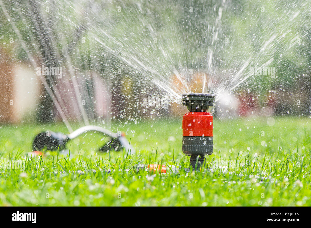 Lawn Sprinkler Head Spraying Water