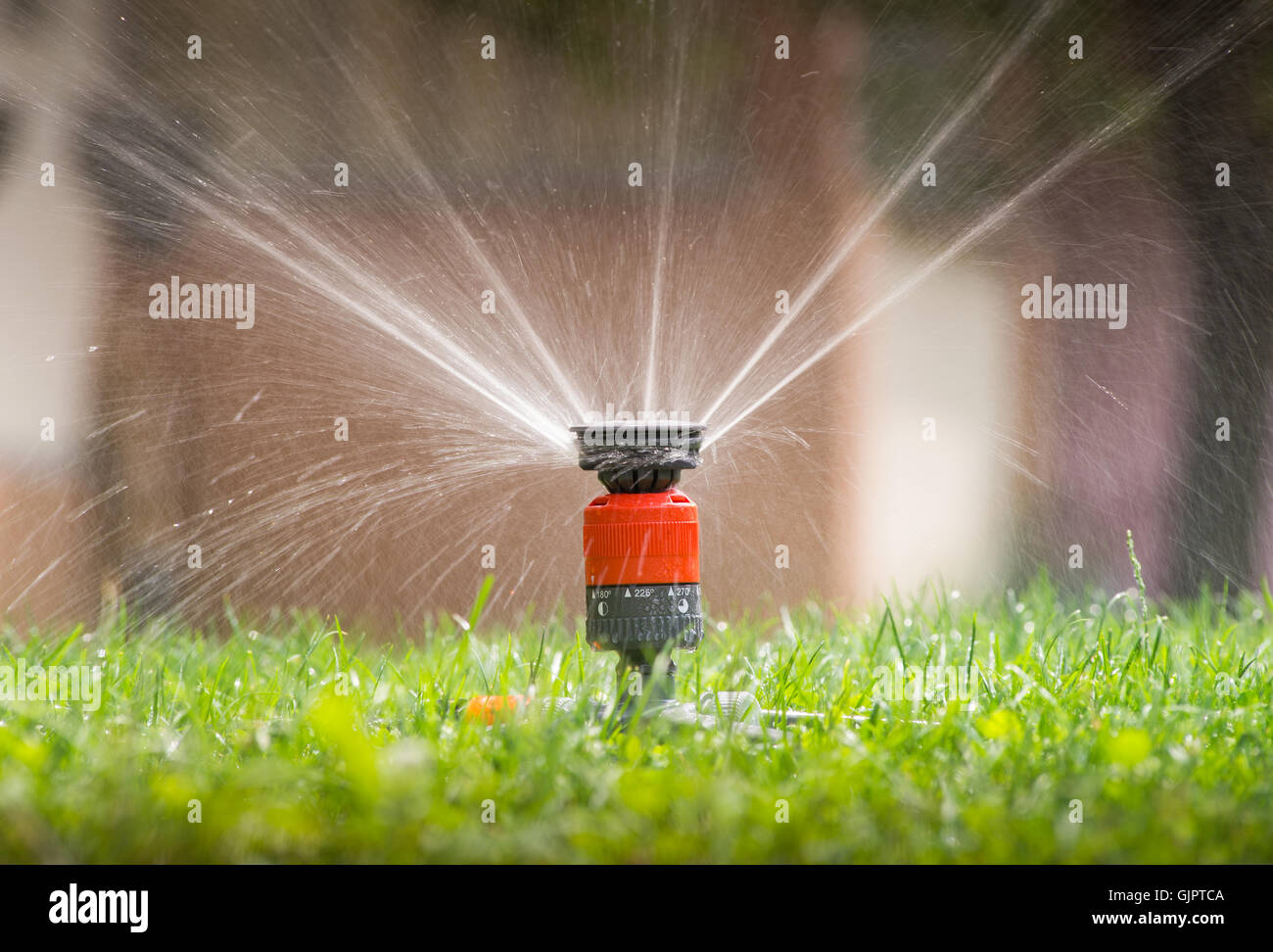 Sprinkler on lawn hires stock photography and images Alamy