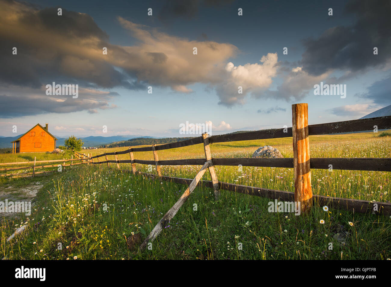 Old wooden fence forest in hi-res stock photography and images - Alamy