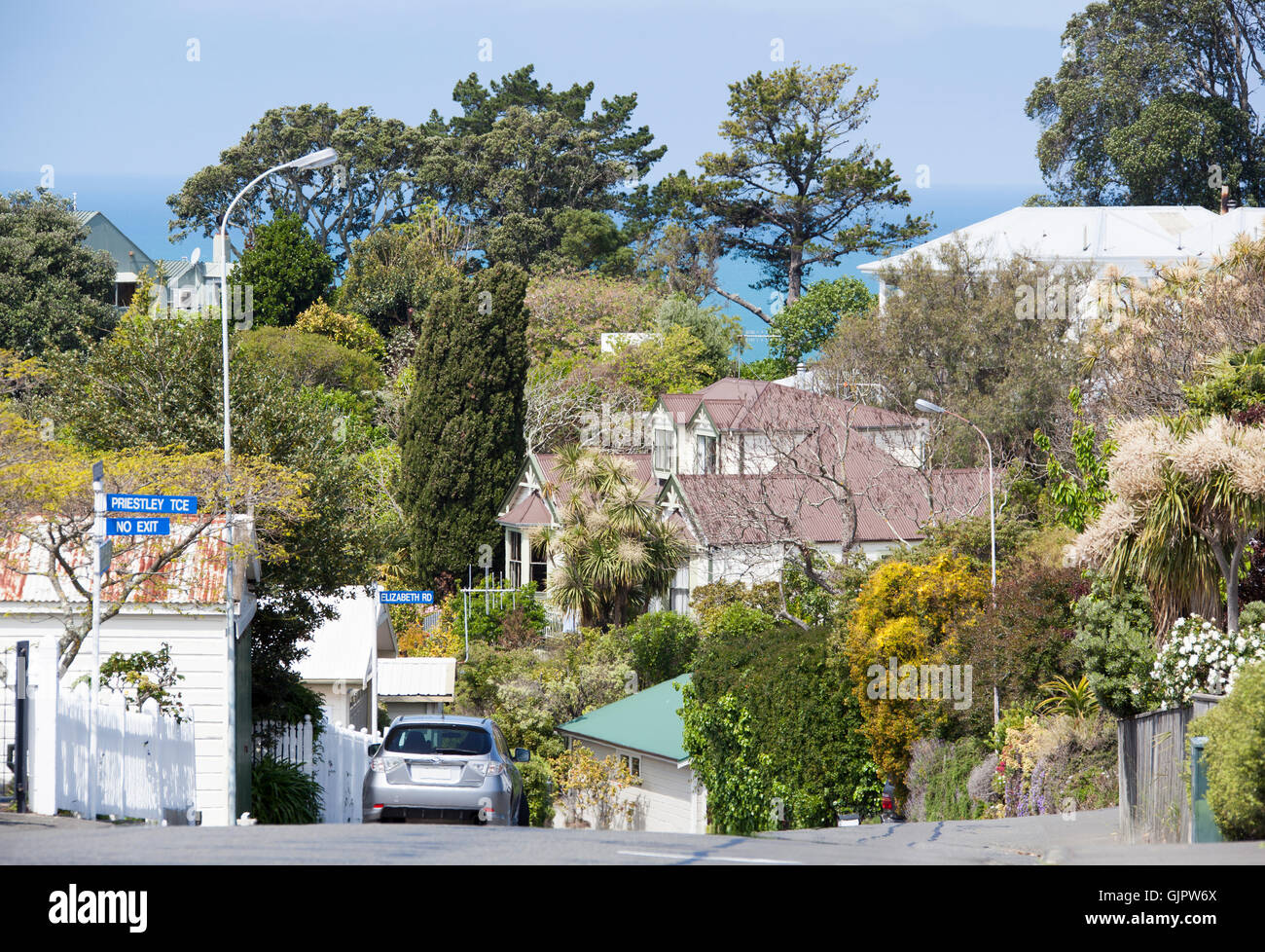 Hilly green streets of Napier town (New Zealand). Stock Photo
