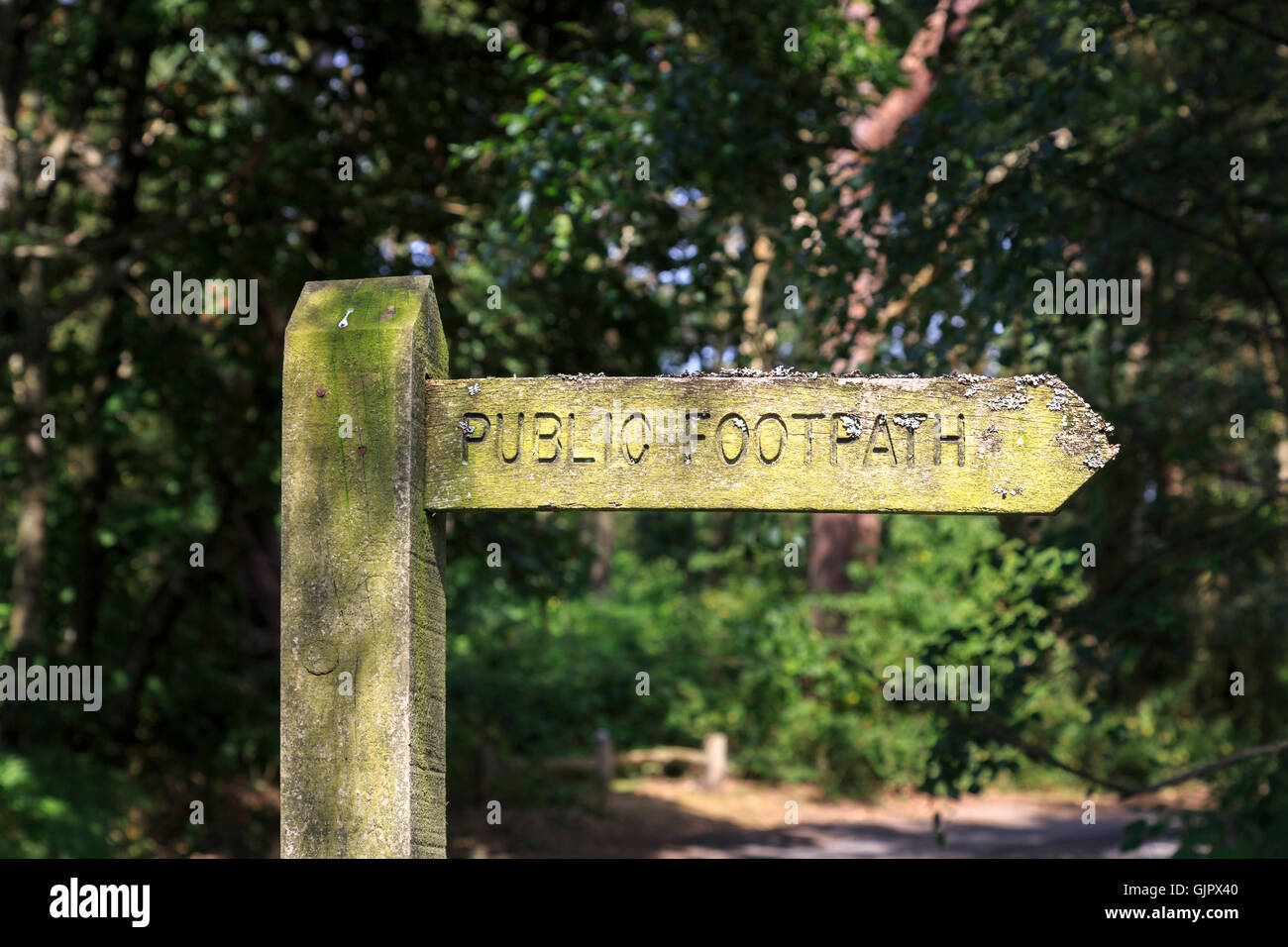 Traditional wooden lichen-encrusted public footpath fingerpost at Frensham Little Pond near Farnham, Surrey, UK Stock Photo