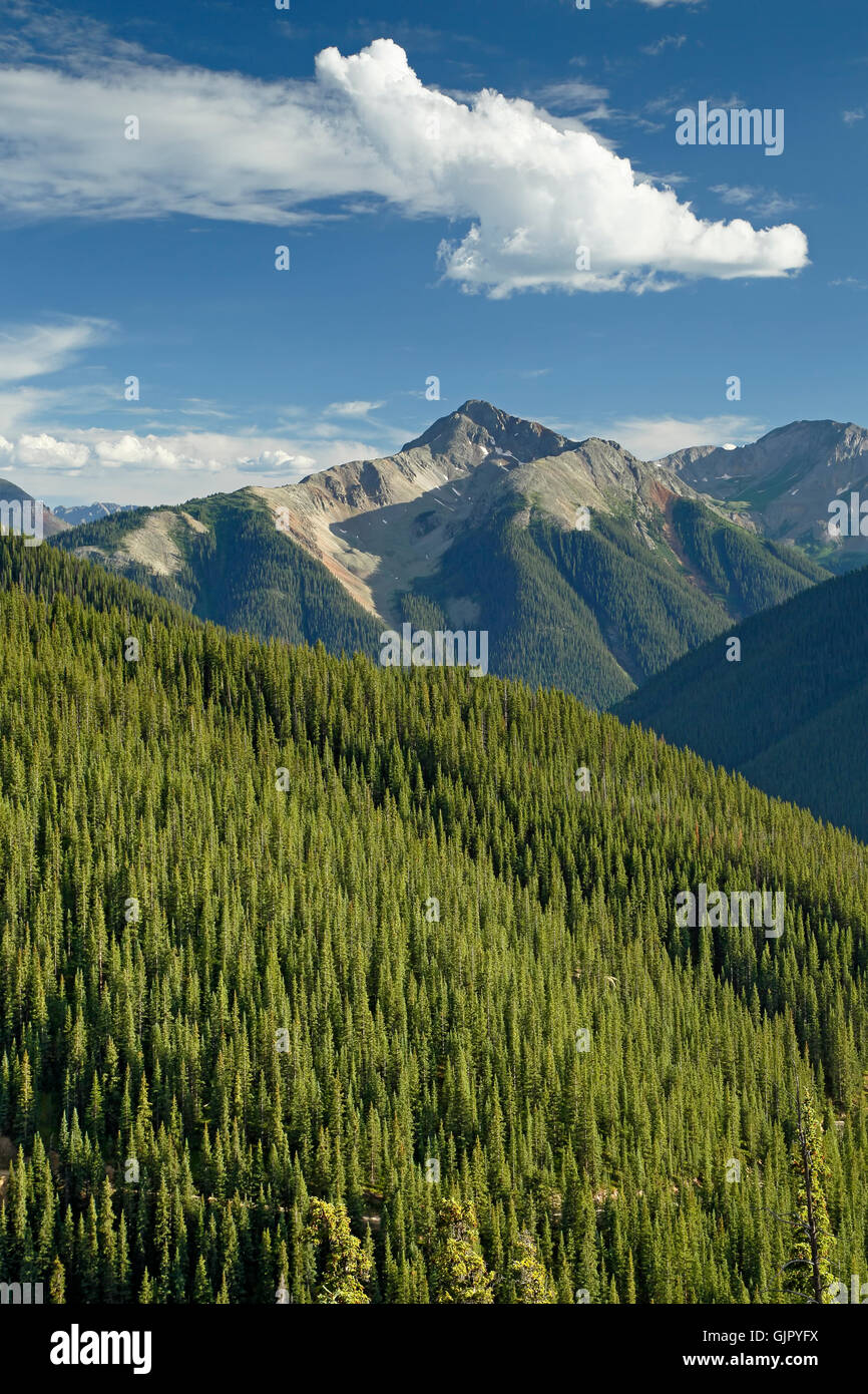 San juan wilderness hi-res stock photography and images - Alamy