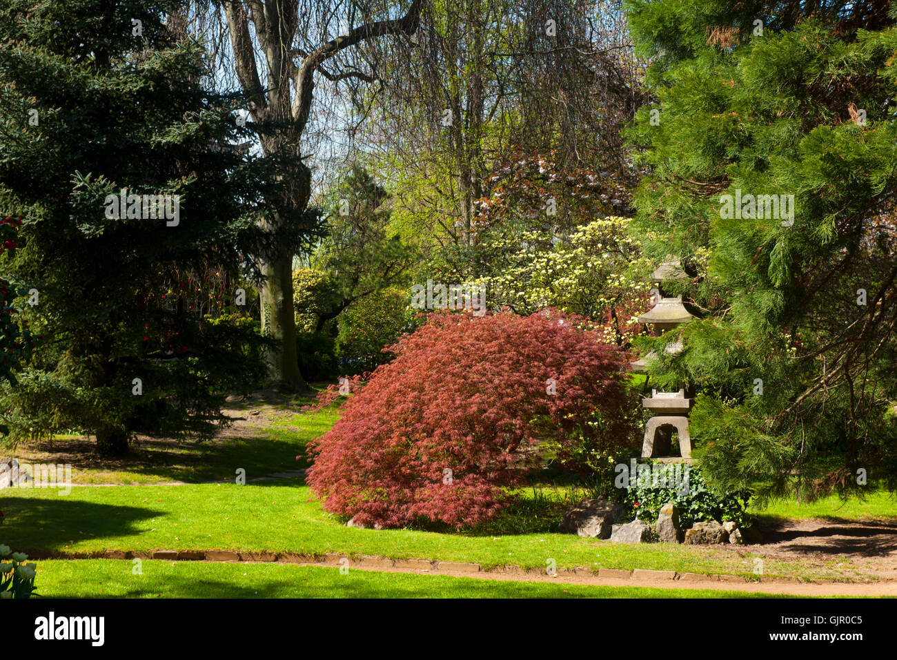 Deutschland, NRW, Leverkusen, Japanischer Garten in der Carl-Duisberg-Parkanlage Stock Photo
