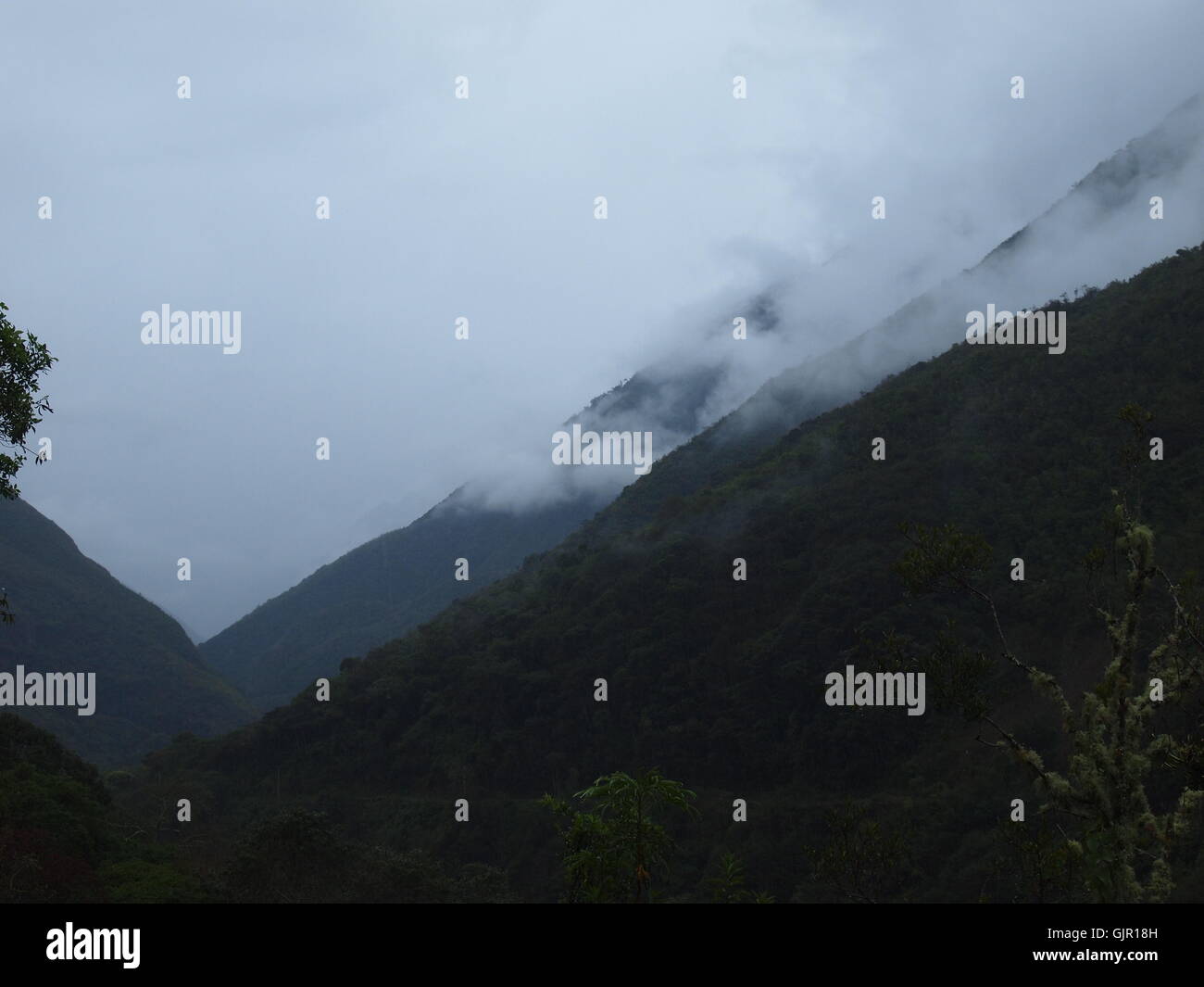 Unesco peru rain forest hi-res stock photography and images - Alamy