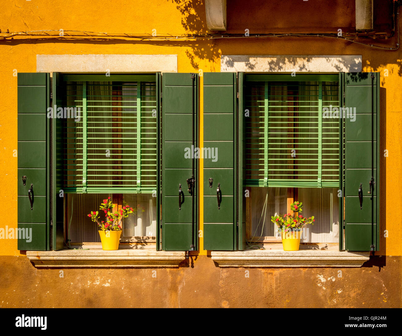 Green wooden shutters and venetian blinds on a yellow painted house on the island of Burano. Venice, Italy. Stock Photo