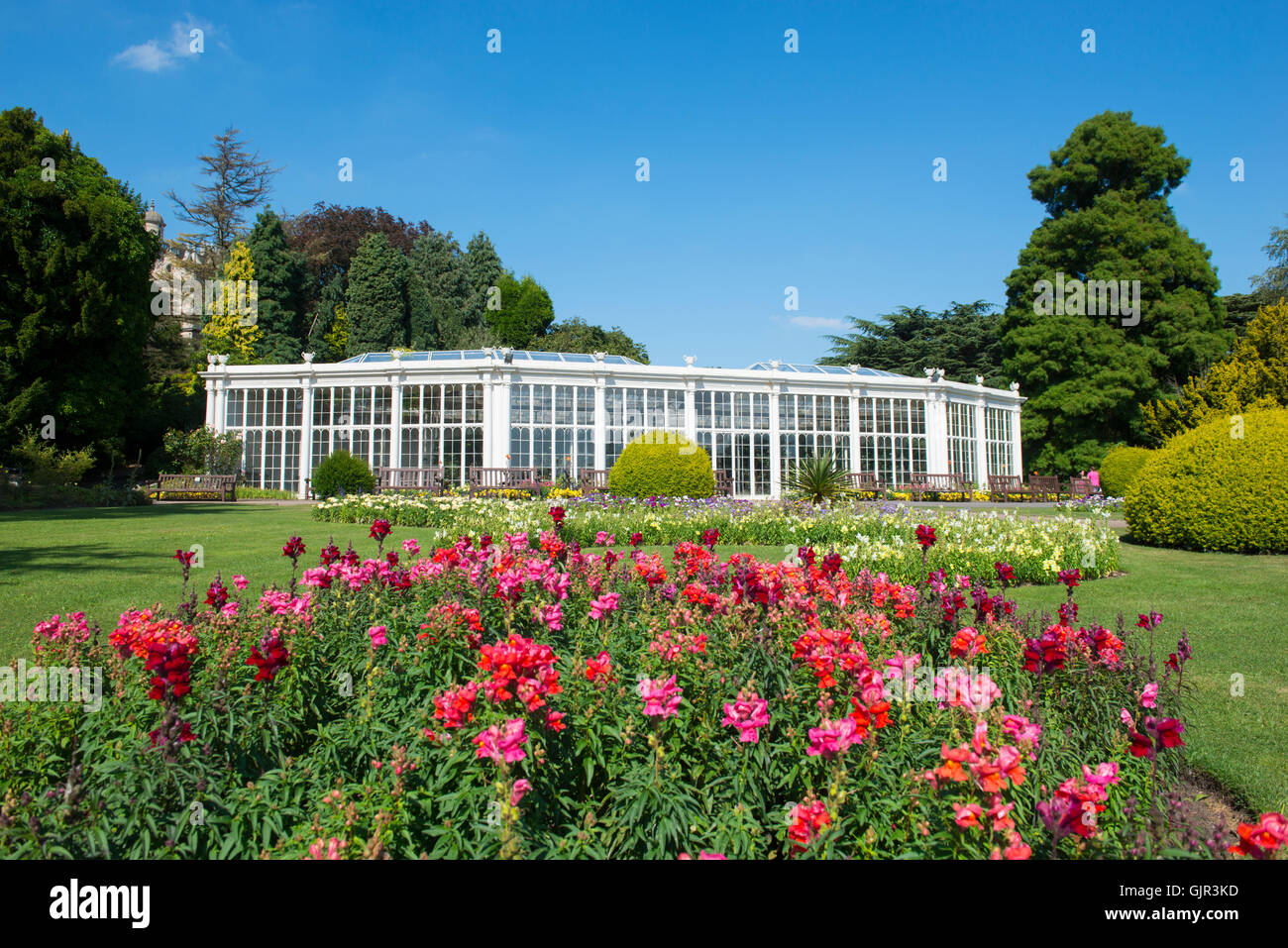 The Camellia House in the Gardens of Wollaton Hall Park