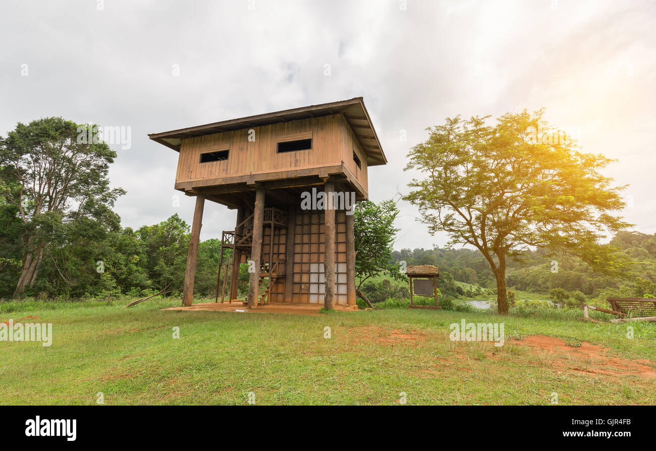 Wooden tower for watching animal in tropical forest of Thailand surrounded by tree and bush with soft sunlight. Stock Photo