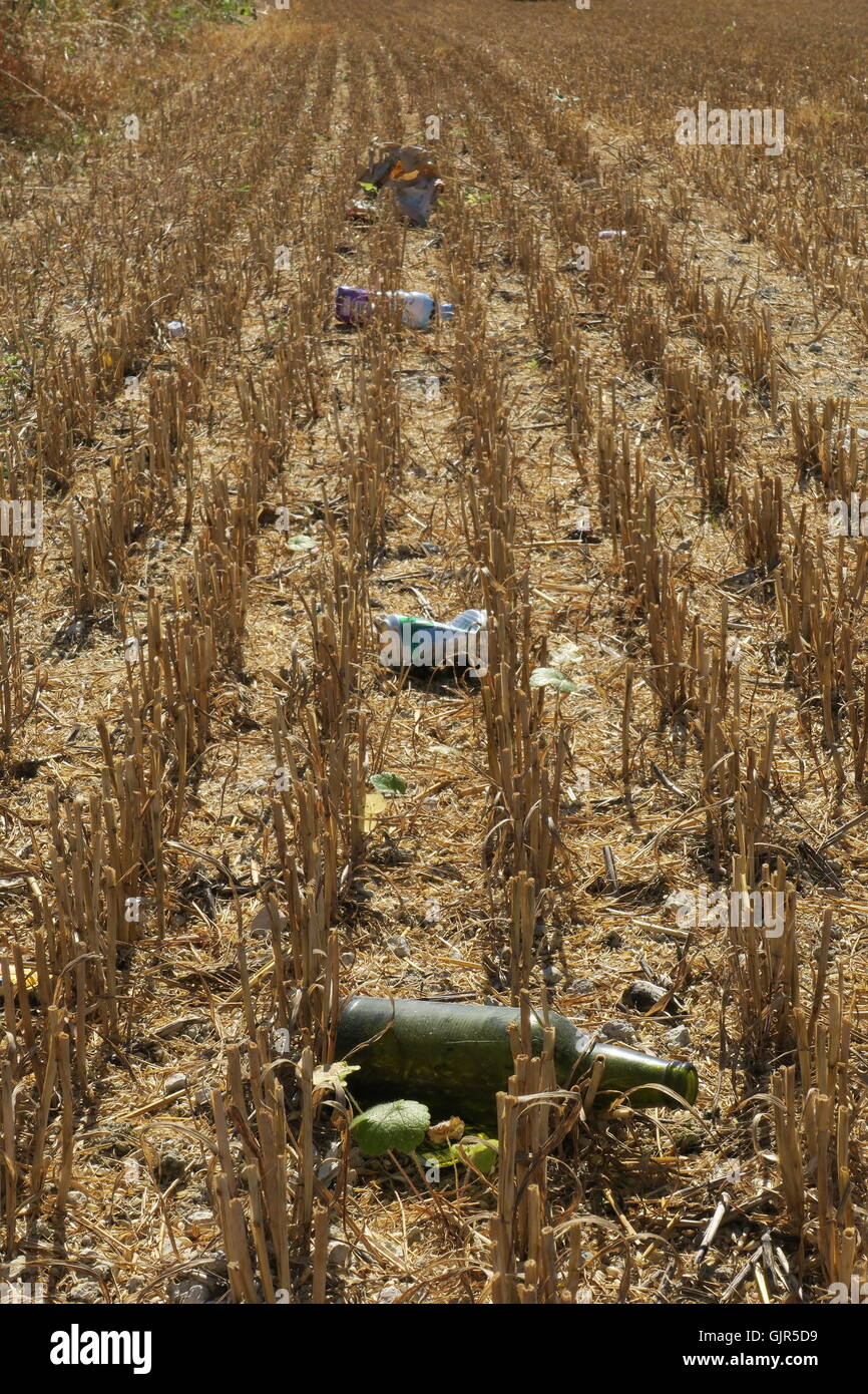 Rubbish thrown from a nearby road revealed when the wheat was harvested
