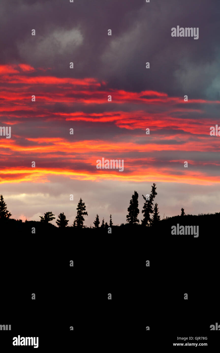Cloudy sunset sky on fire and silhouette of forest Stock Photo - Alamy