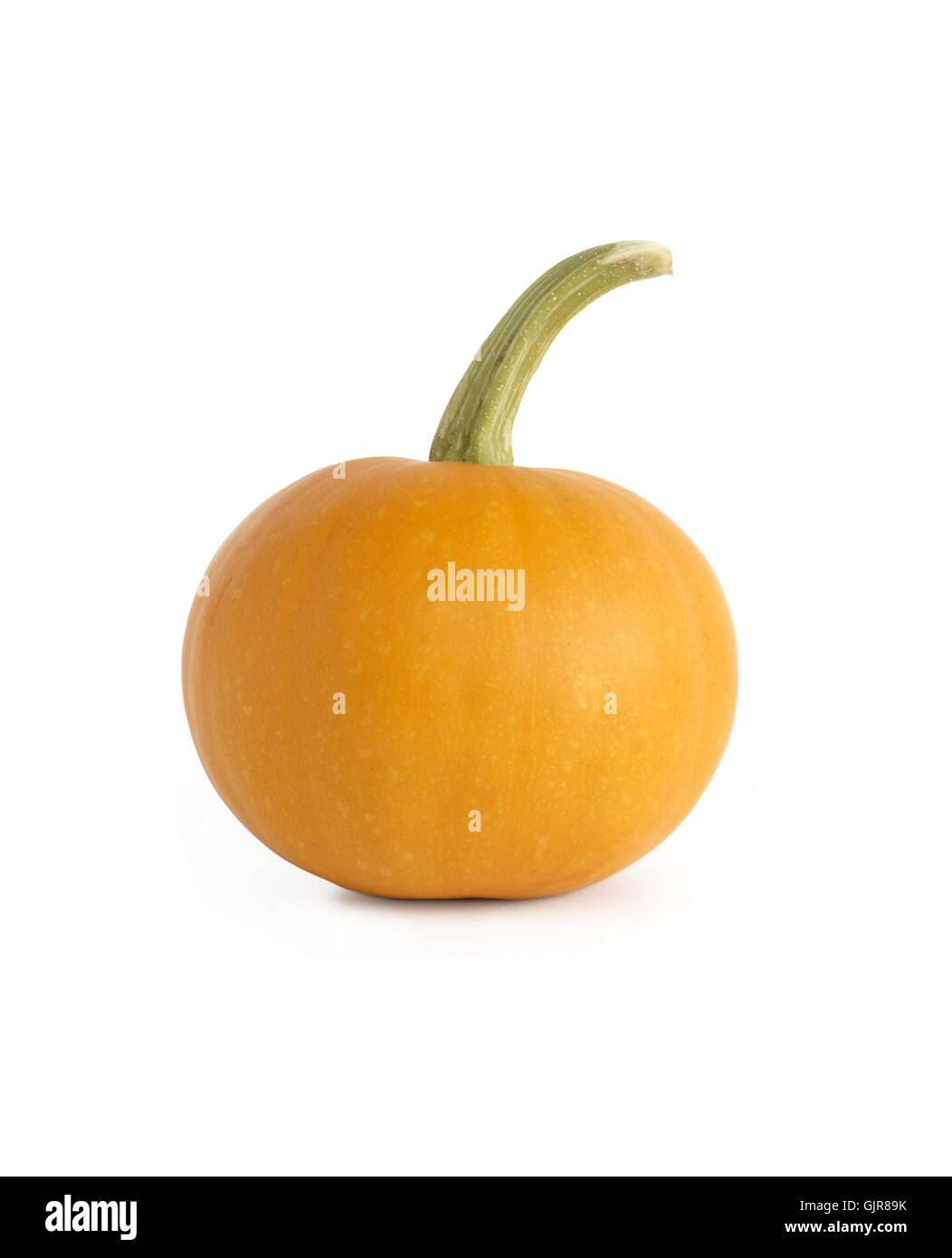 Pumpkin On White Stock Photo
