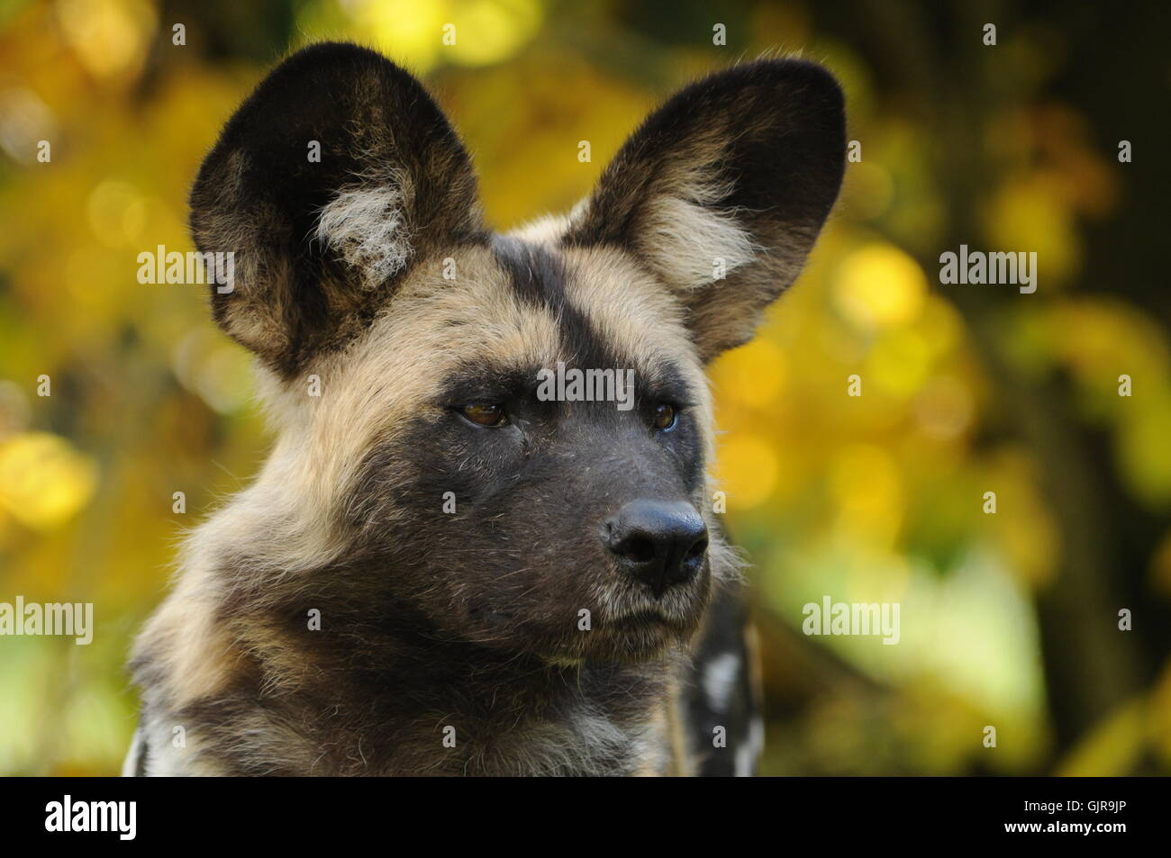 Kenya scenery hi-res stock photography and images - Alamy