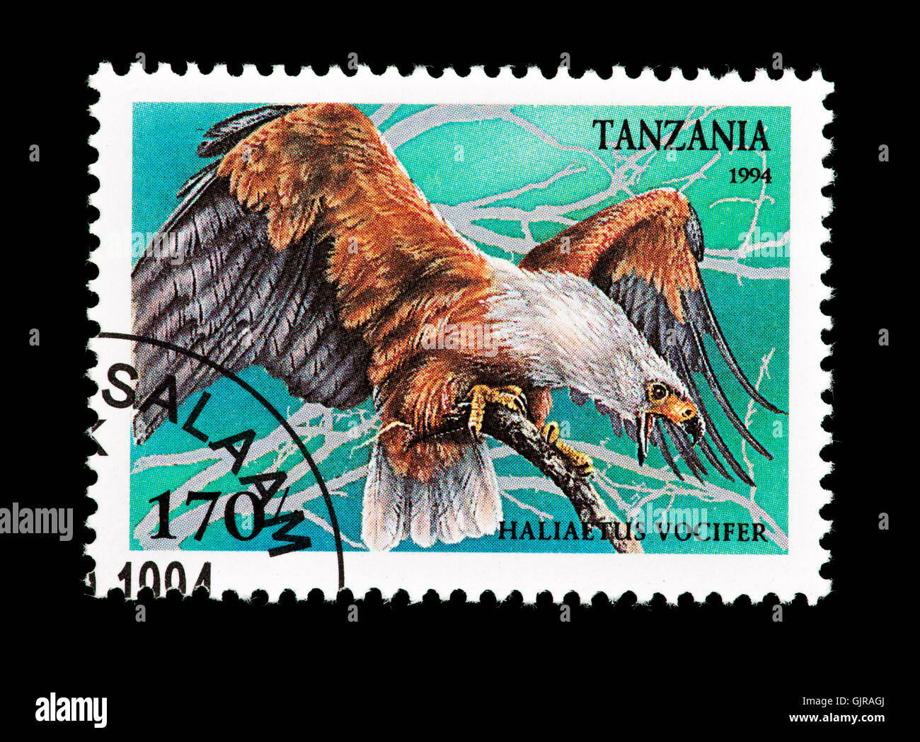 Postage stamp from Tanzania depicting an African fish eagle (Haliaeetus vocifer Stock Photo