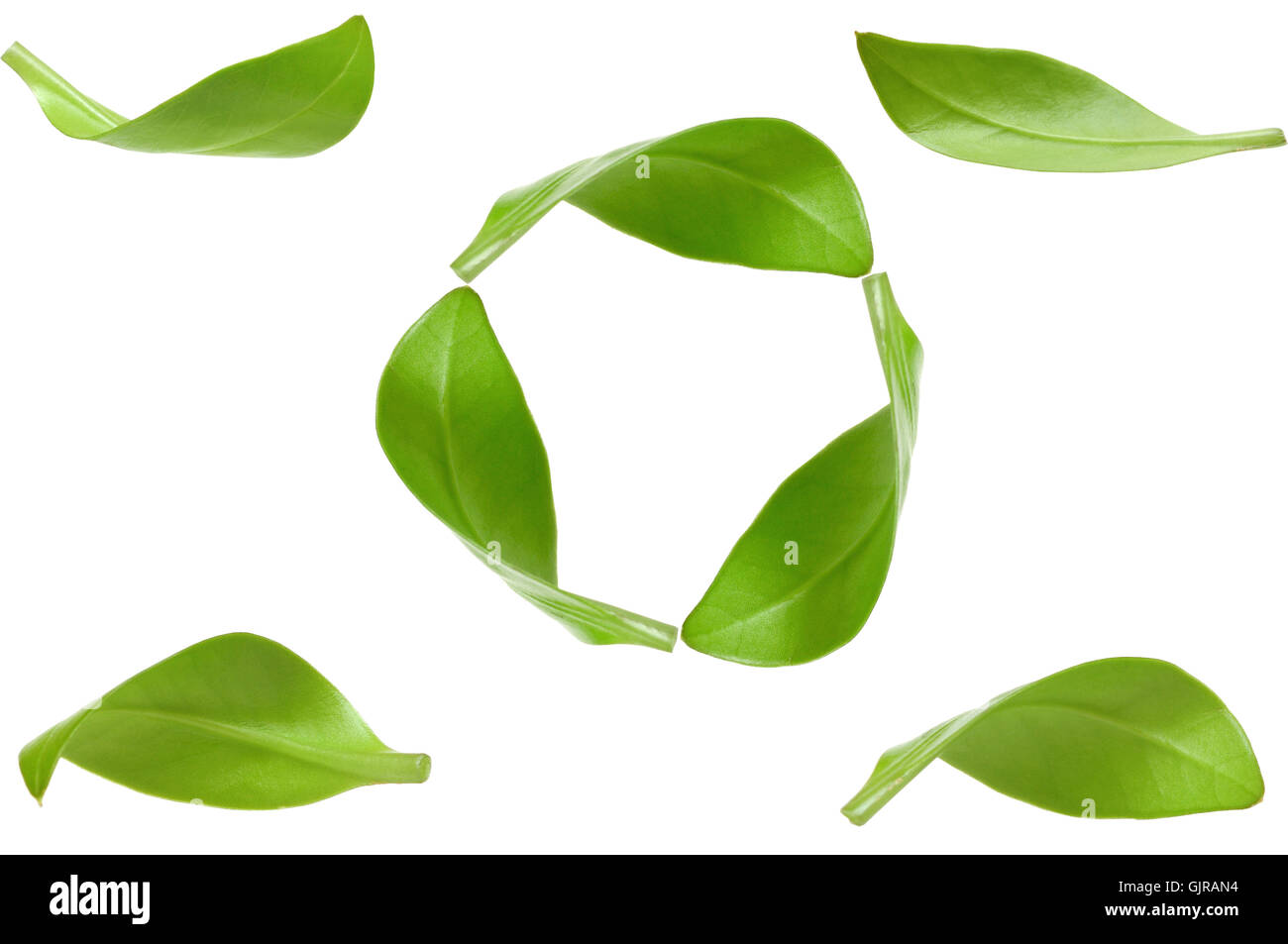 Eco green energy recycling Stock Photo Alamy