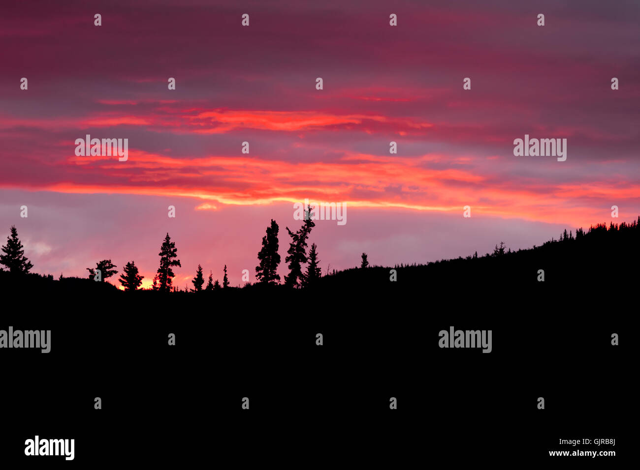 Cloudy sunset sky on fire and silhouette of forest Stock Photo - Alamy