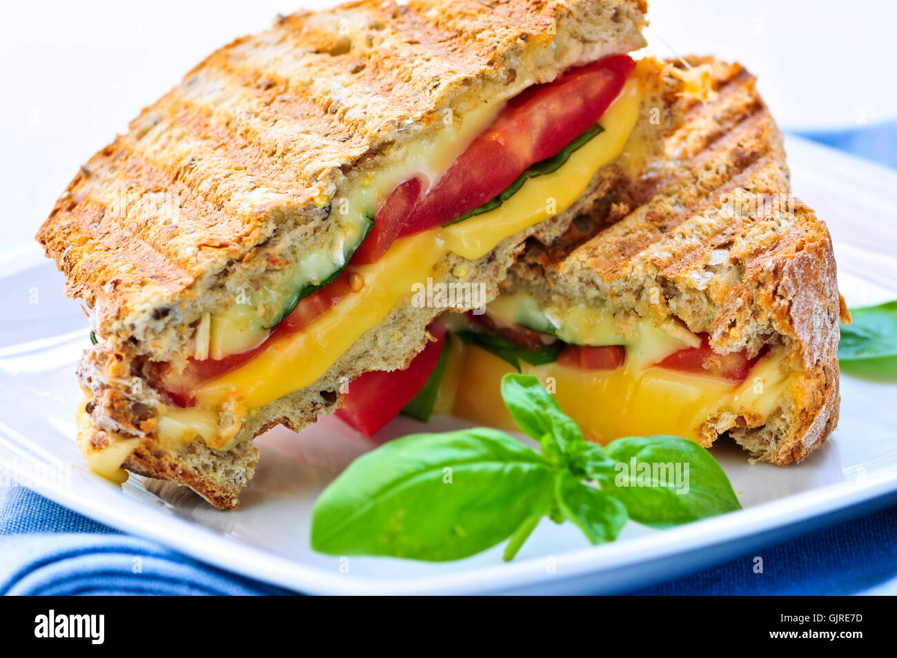 cheese sandwich grilled Stock Photo Alamy